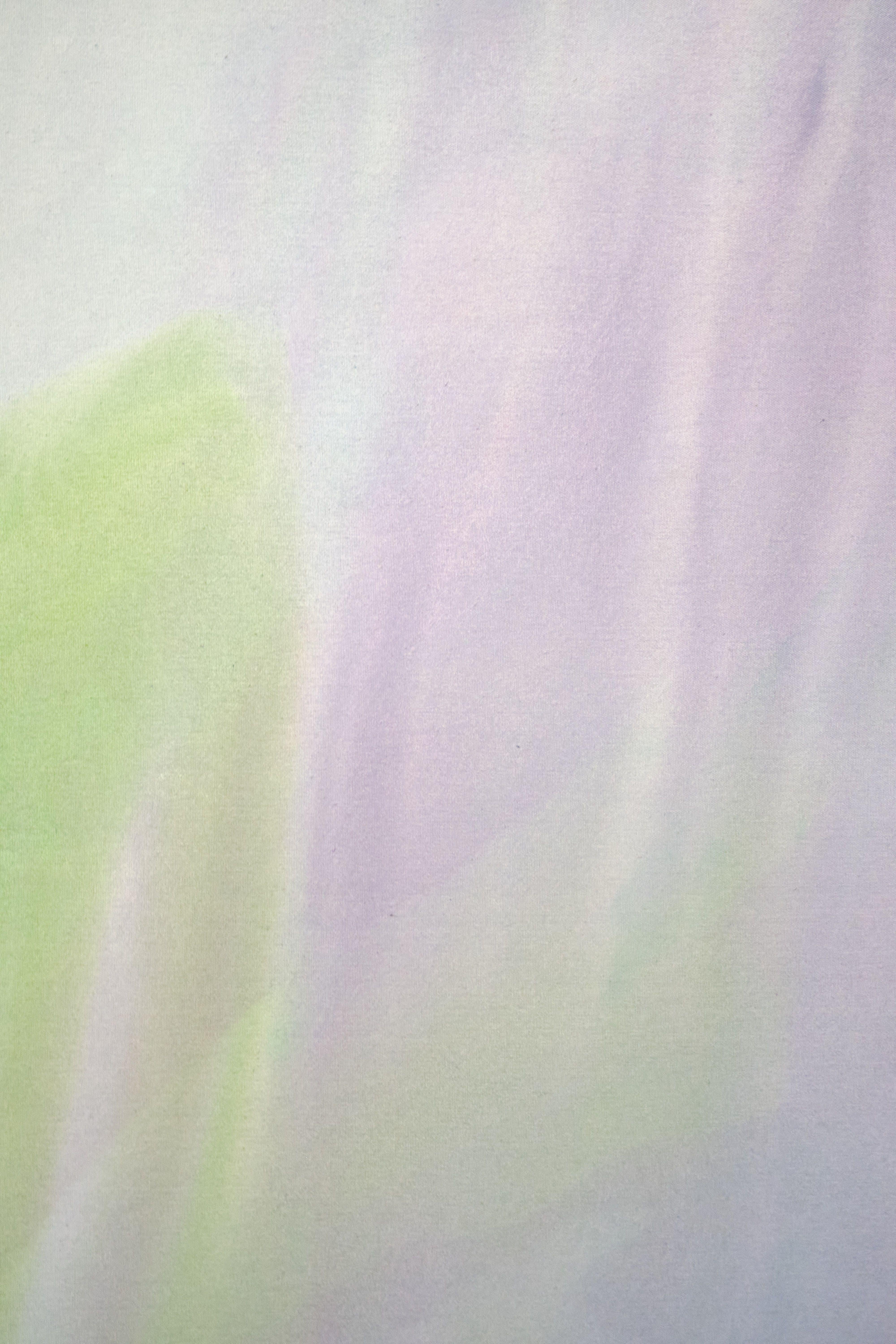 Inspired by a photo that the artist took of a Wisteria vine overflowing from the top corner of a building in Berlin. This work creates an analogue to the physical twisting aspects of the vine, along with reflecting the visual image. :: Painting ::