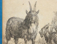 17th Century Realistic Goat Etching Print
