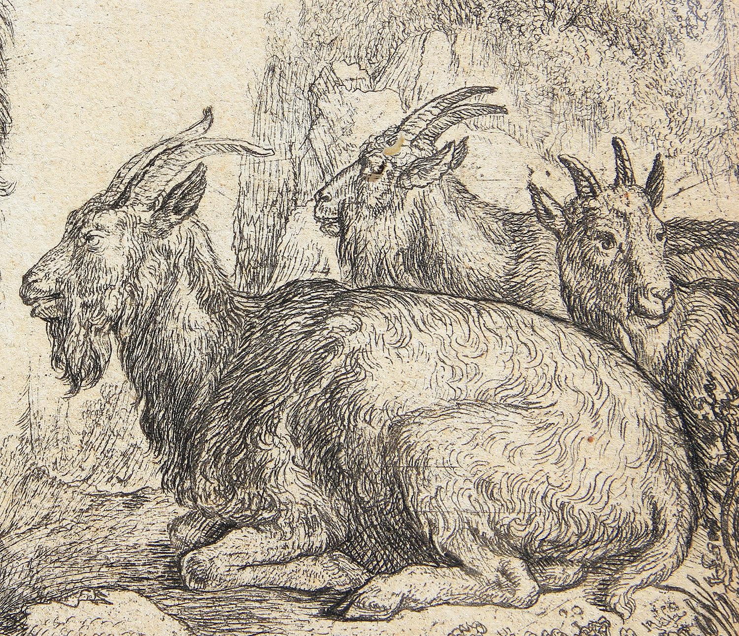 17th Century Realistic Goat Etching Print - Blue Animal Print by Simon Jacobsz de Vlieger