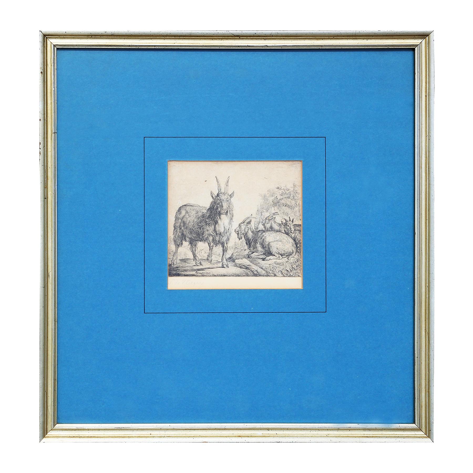 Simon Jacobsz de Vlieger Animal Print - 17th Century Realistic Goat Etching Print