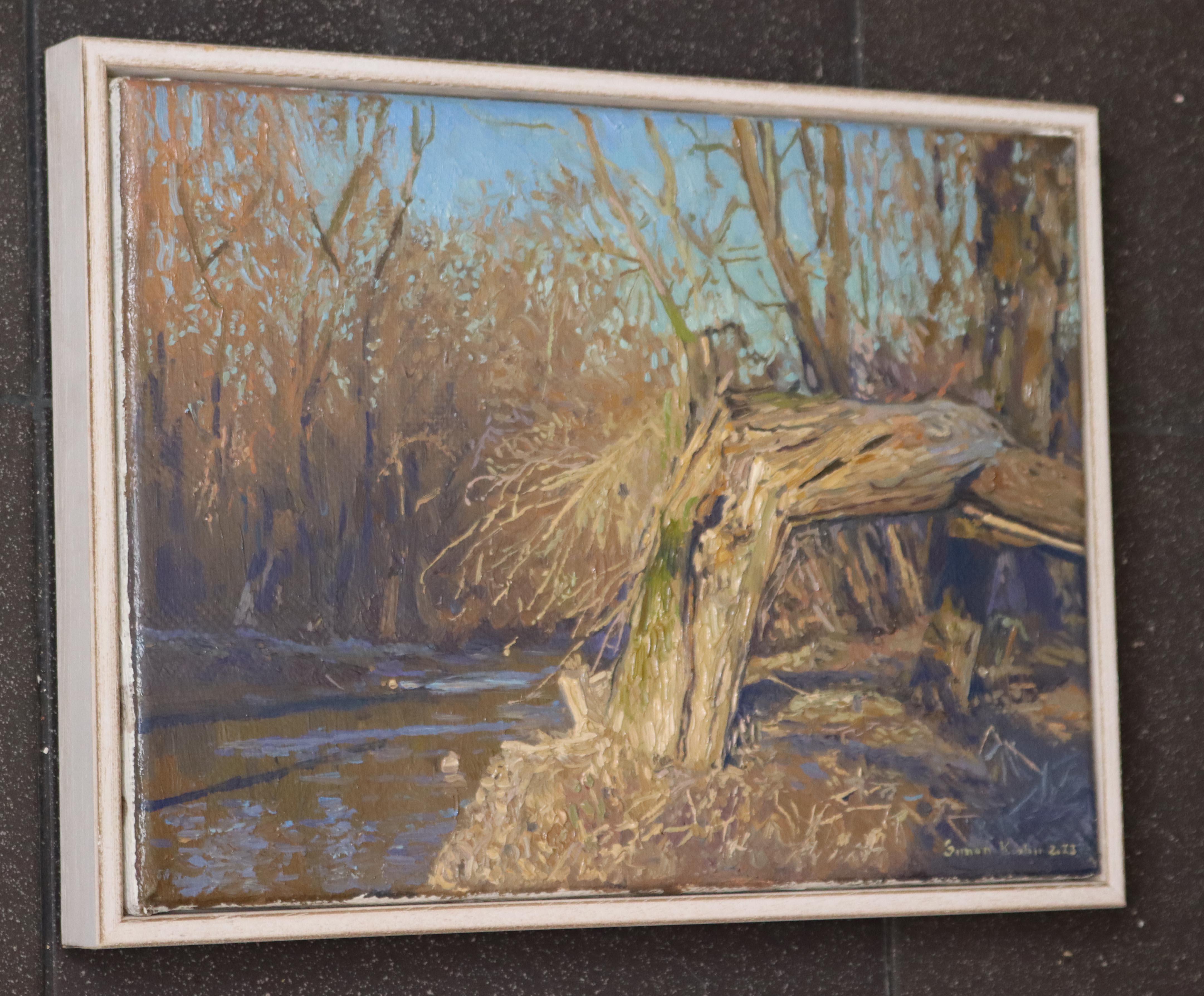 A broken tree near the Likhoborka River For Sale 5