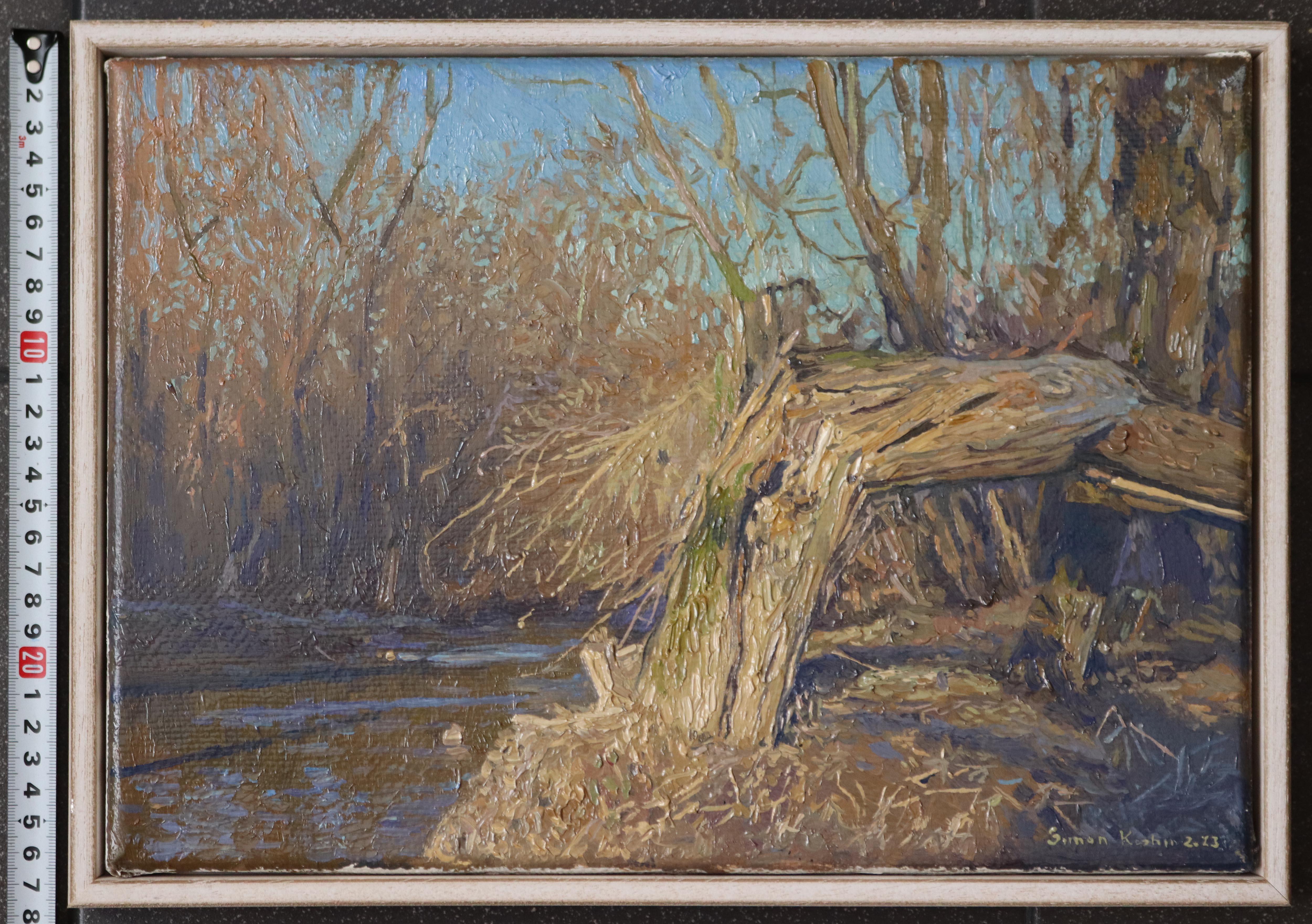 A broken tree near the Likhoborka River For Sale 6