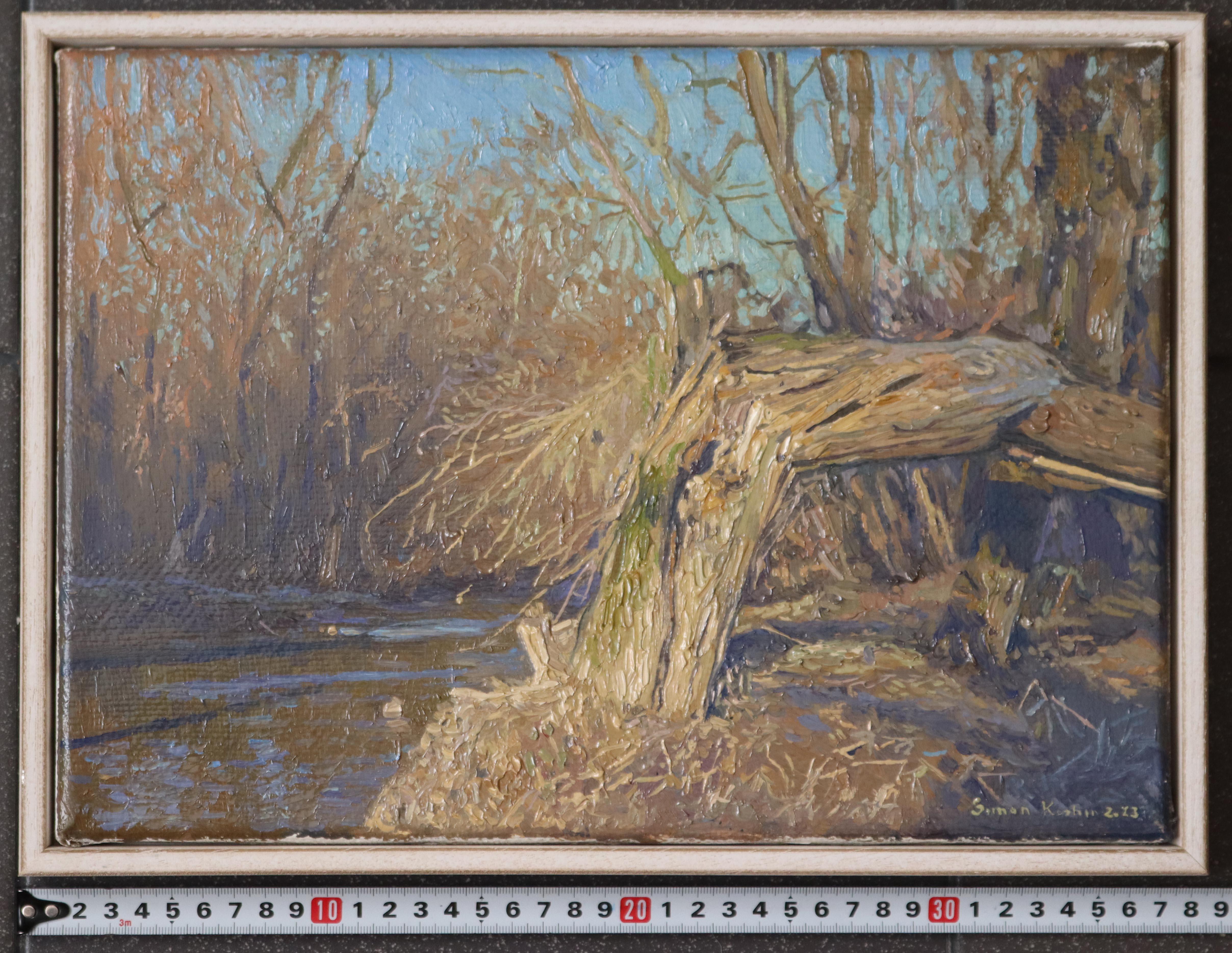 A broken tree near the Likhoborka River For Sale 7