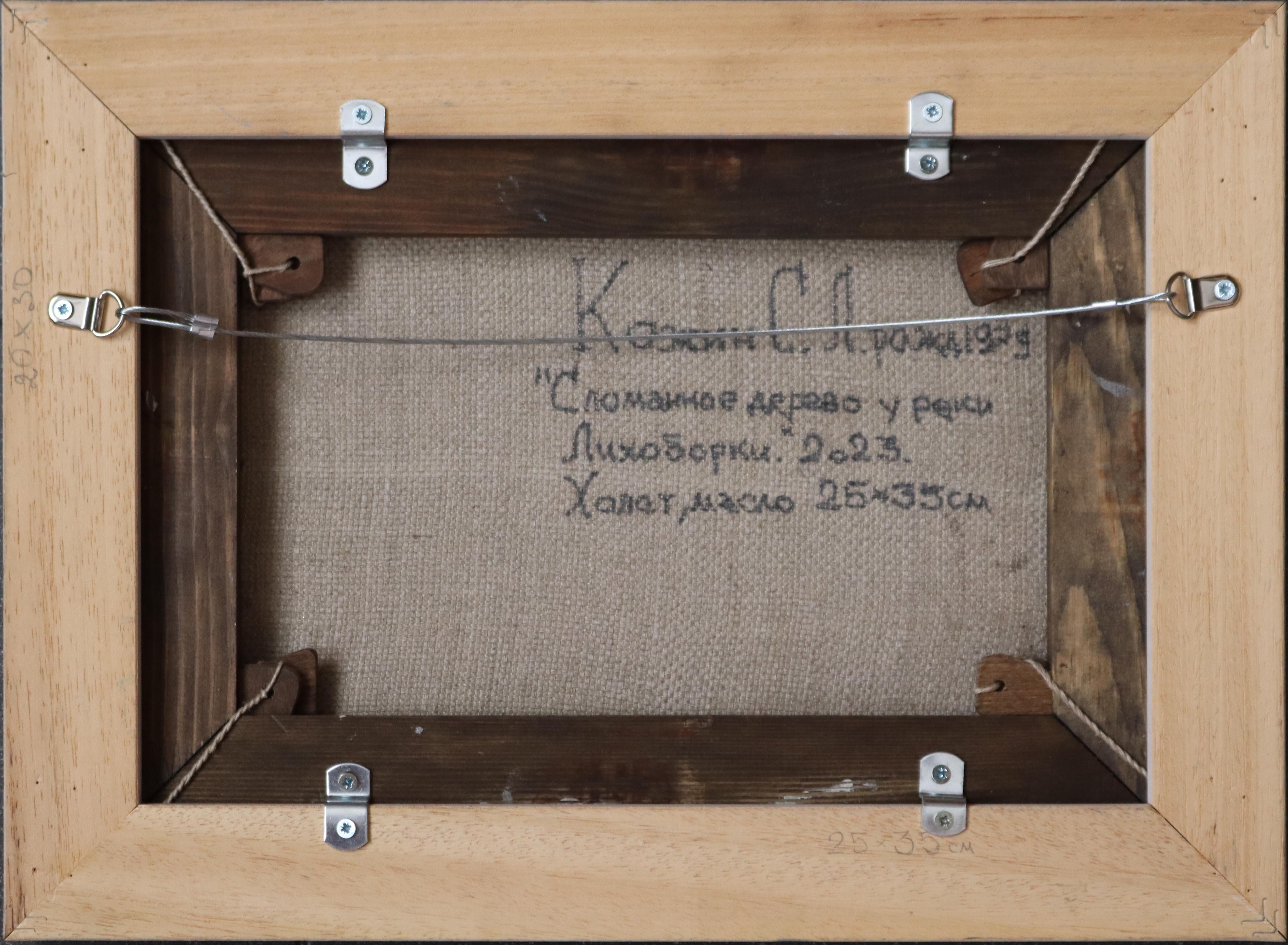 A broken tree near the Likhoborka River For Sale 9