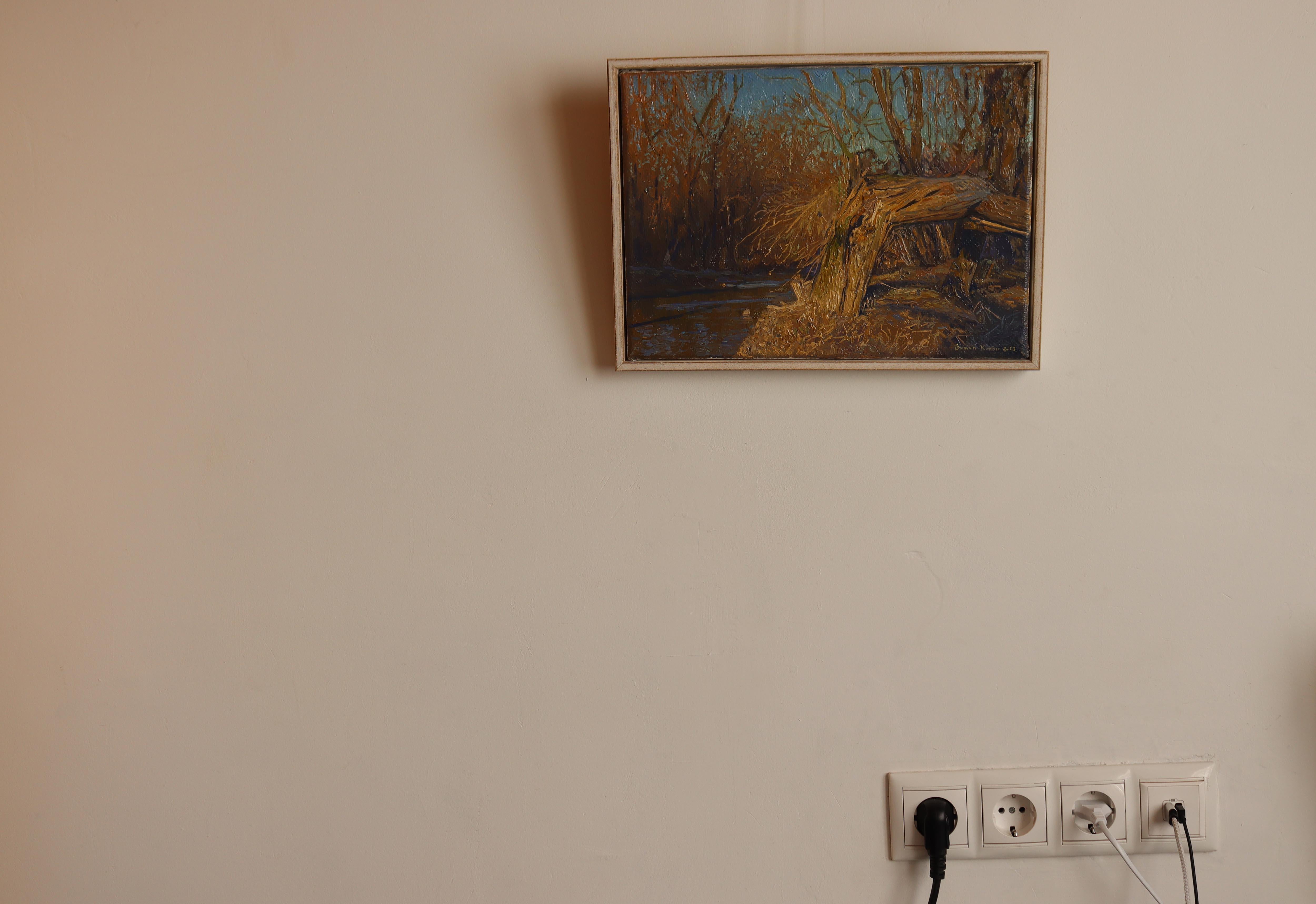 A broken tree near the Likhoborka River For Sale 11