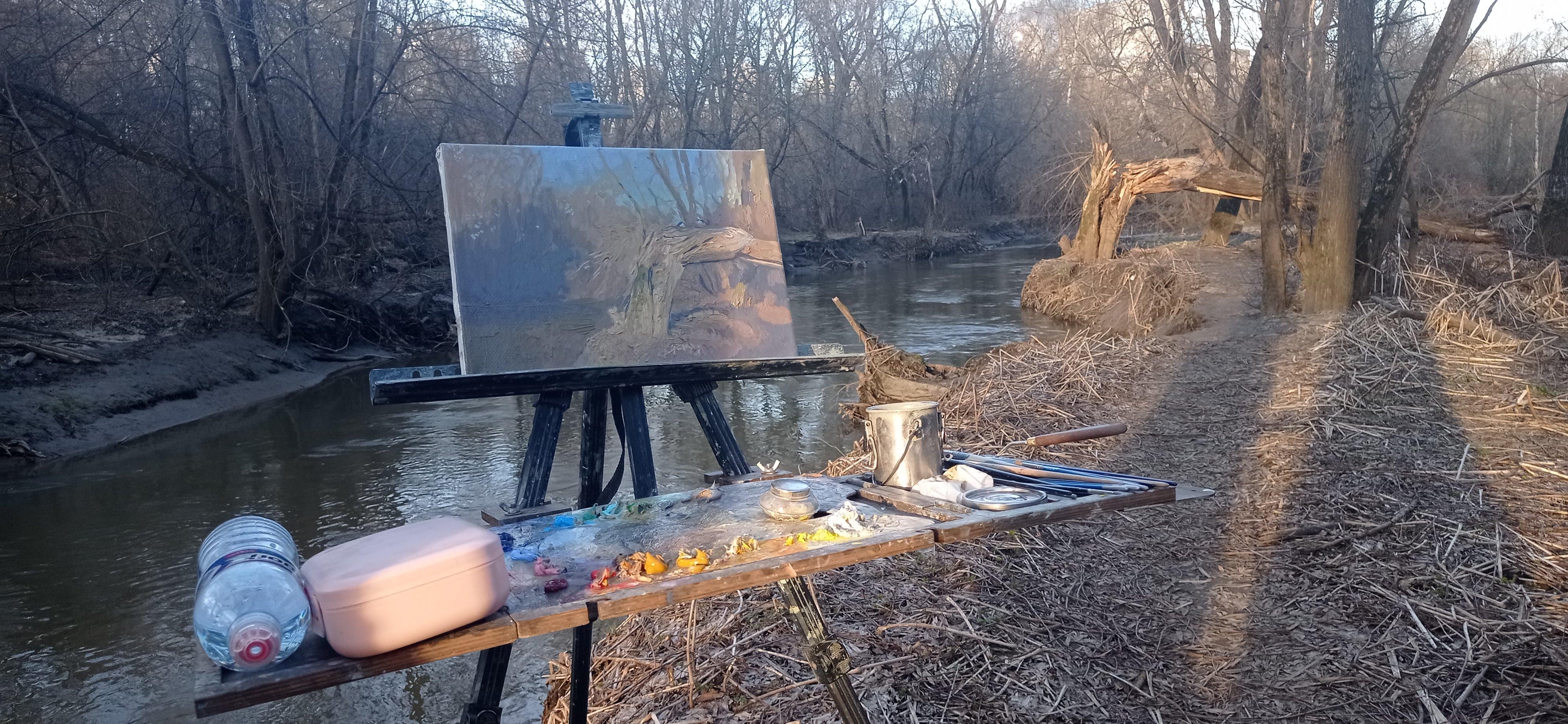A broken tree near the Likhoborka River For Sale 13