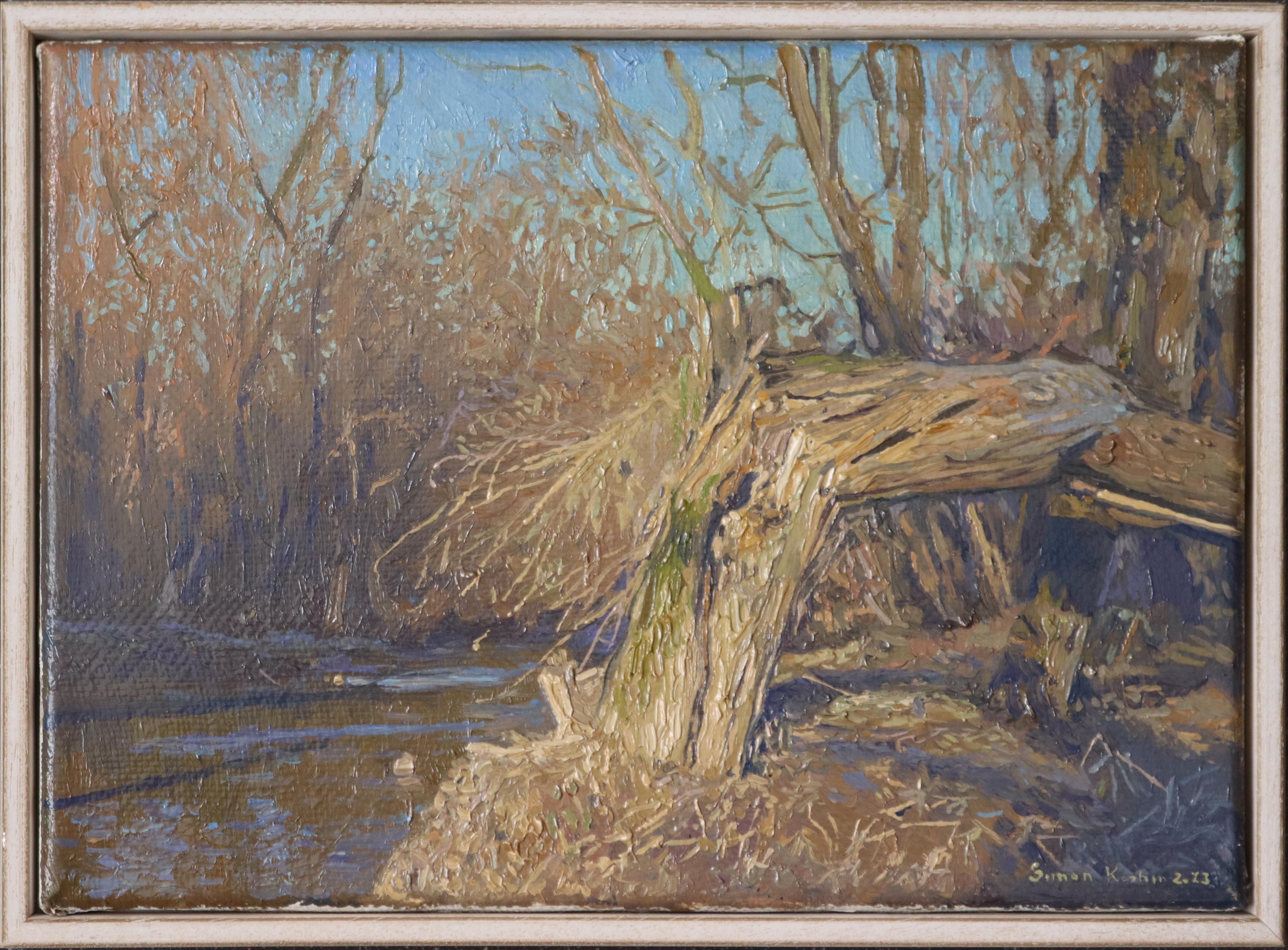 A broken tree near the Likhoborka River For Sale 3