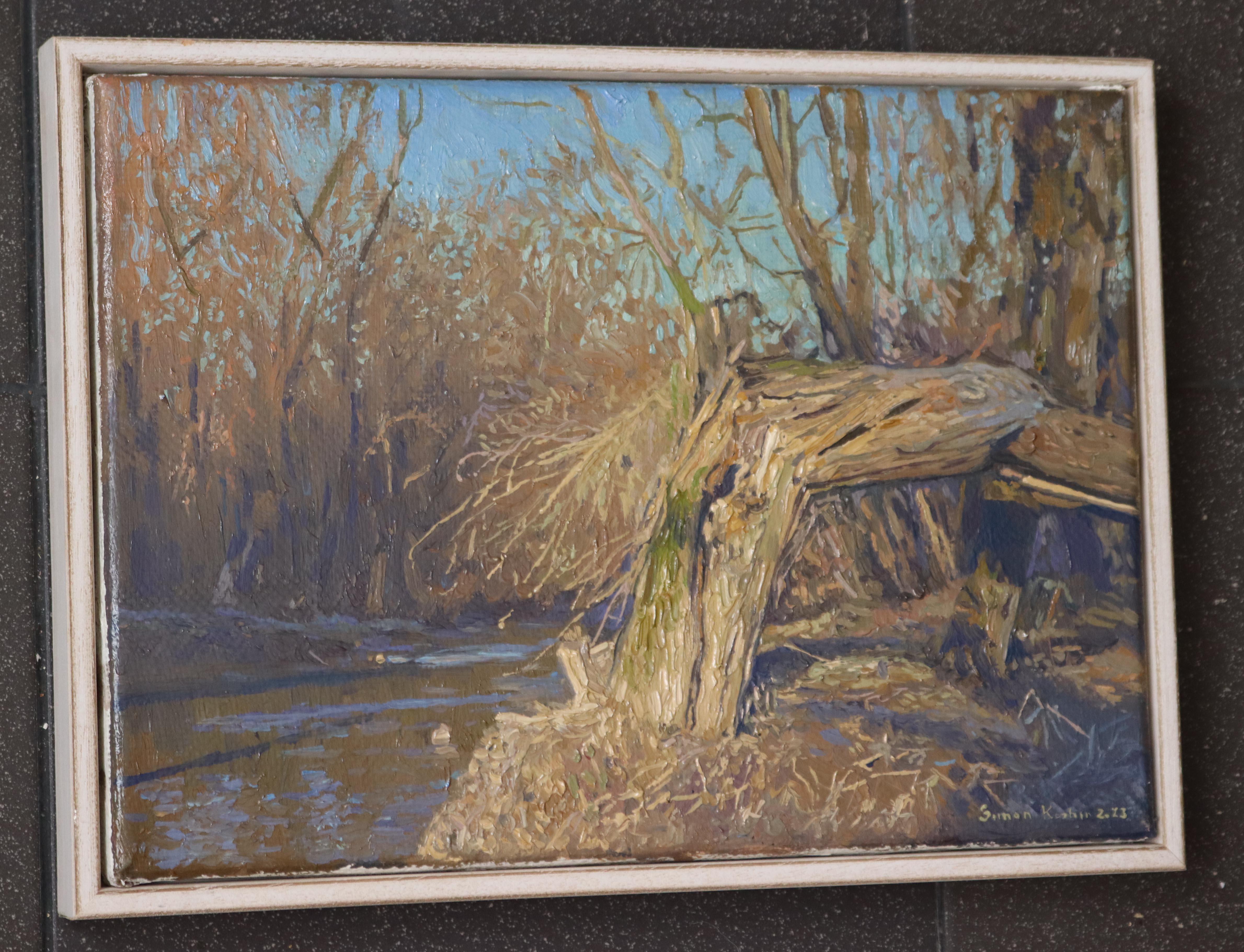A broken tree near the Likhoborka River For Sale 4