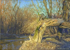 A broken tree near the Likhoborka River