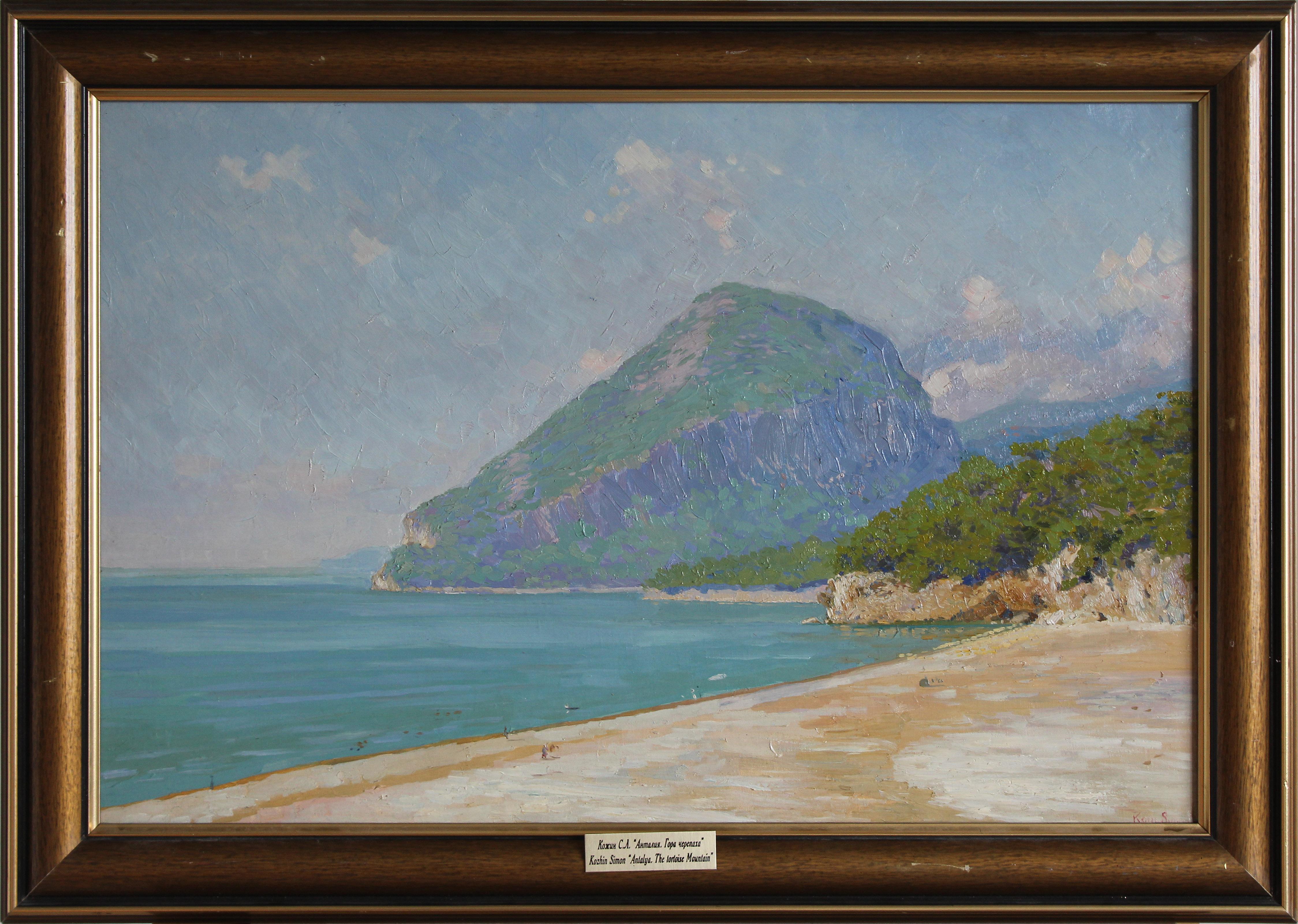 Antalya. Bergschildkr�öte im Angebot 1