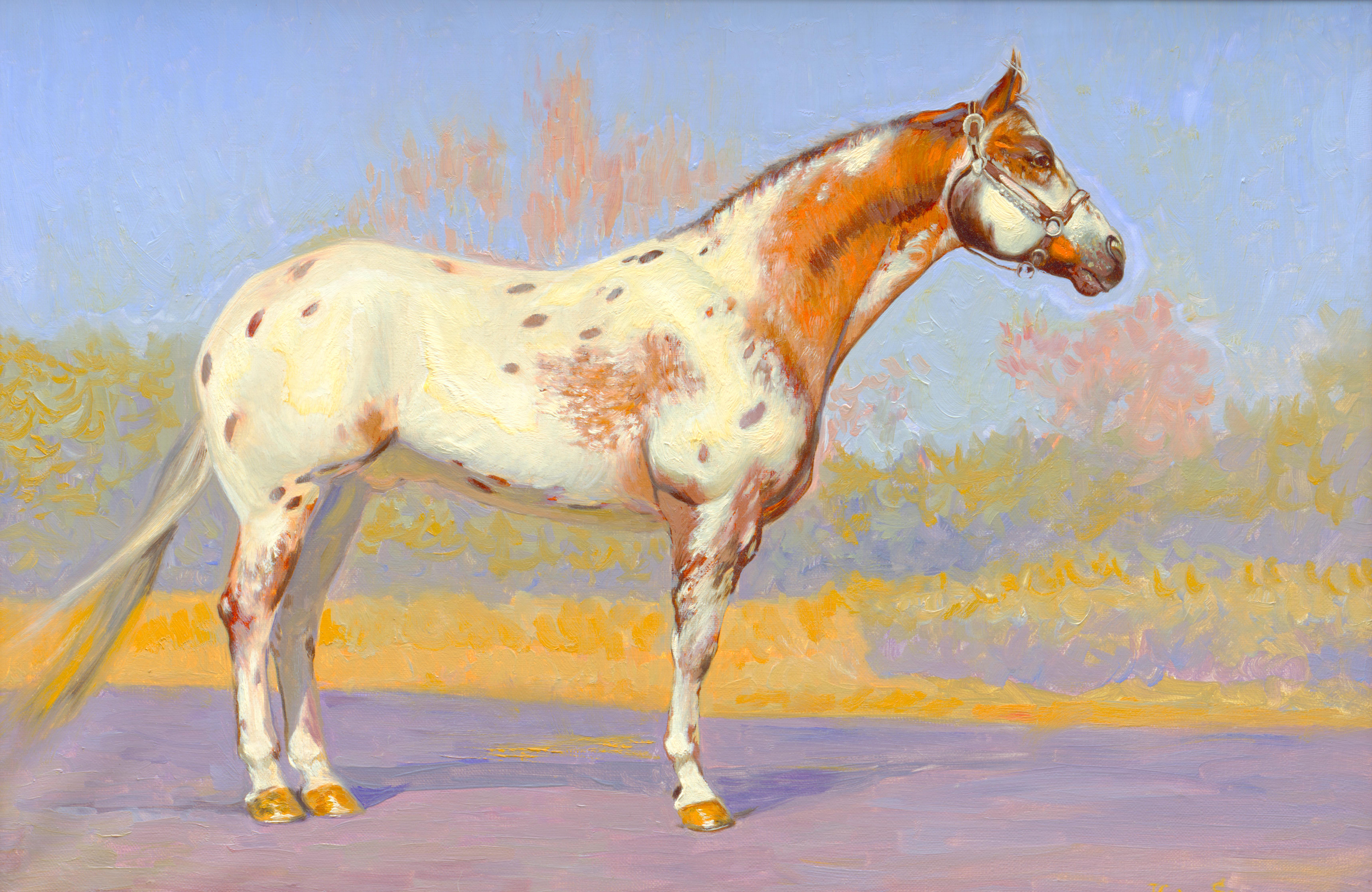 Appaloosa Pferd, Ölgemälde, figuratives Kunstwerk des russischen Malers 40x60