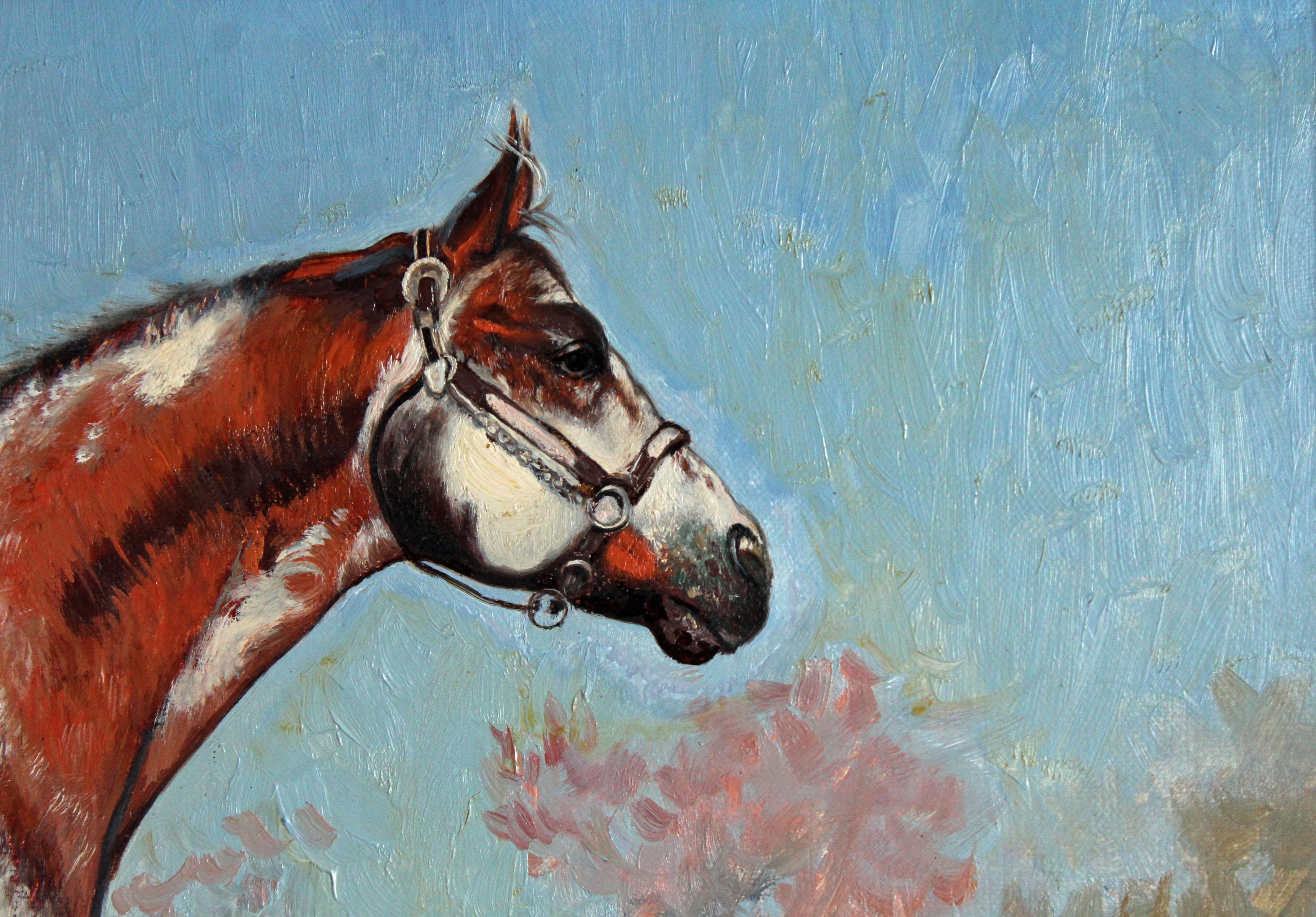 paint appaloosa horse