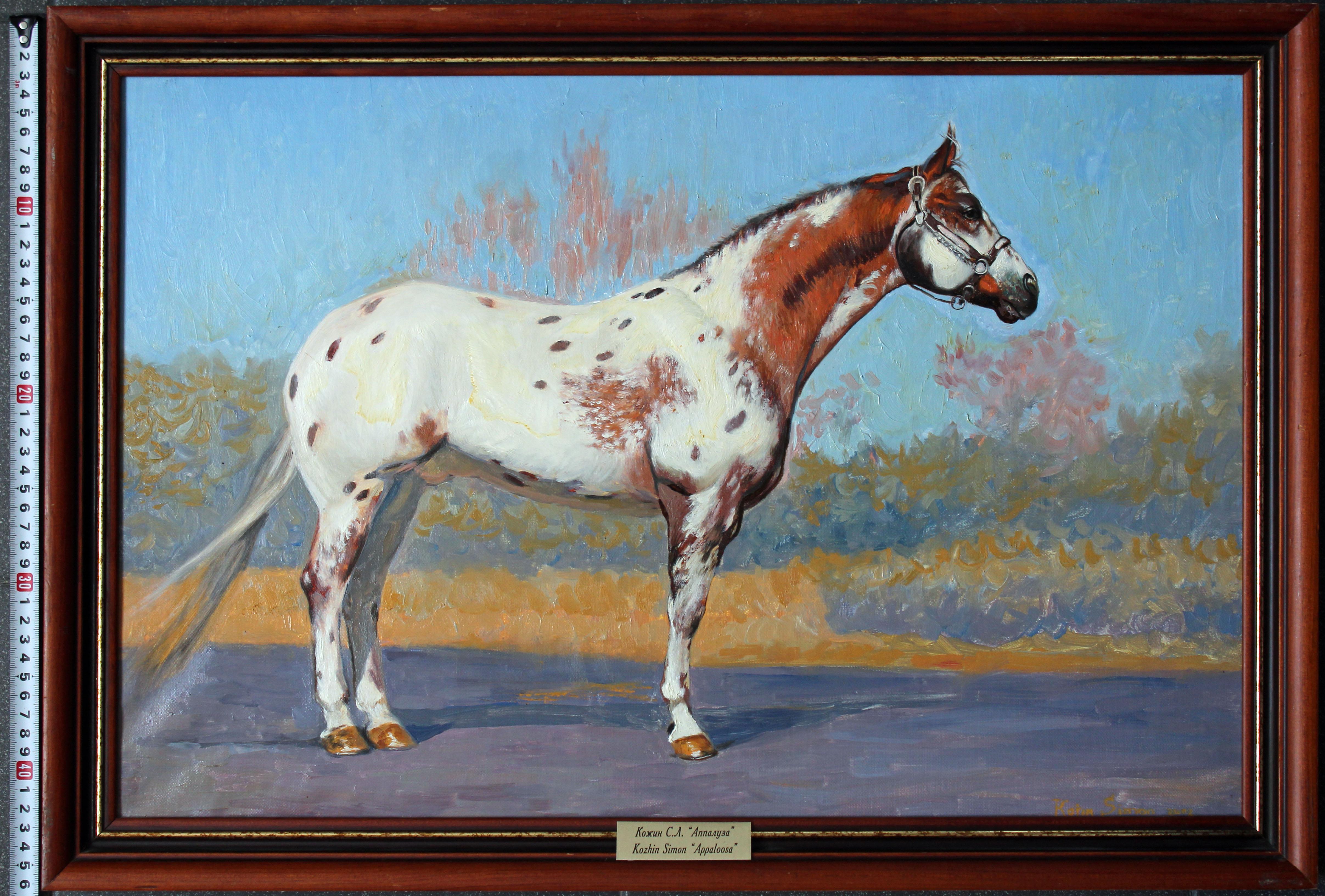 Appaloosa Horse Oil Painting Figurative Artwork by Russian painter 40x60 For Sale 5