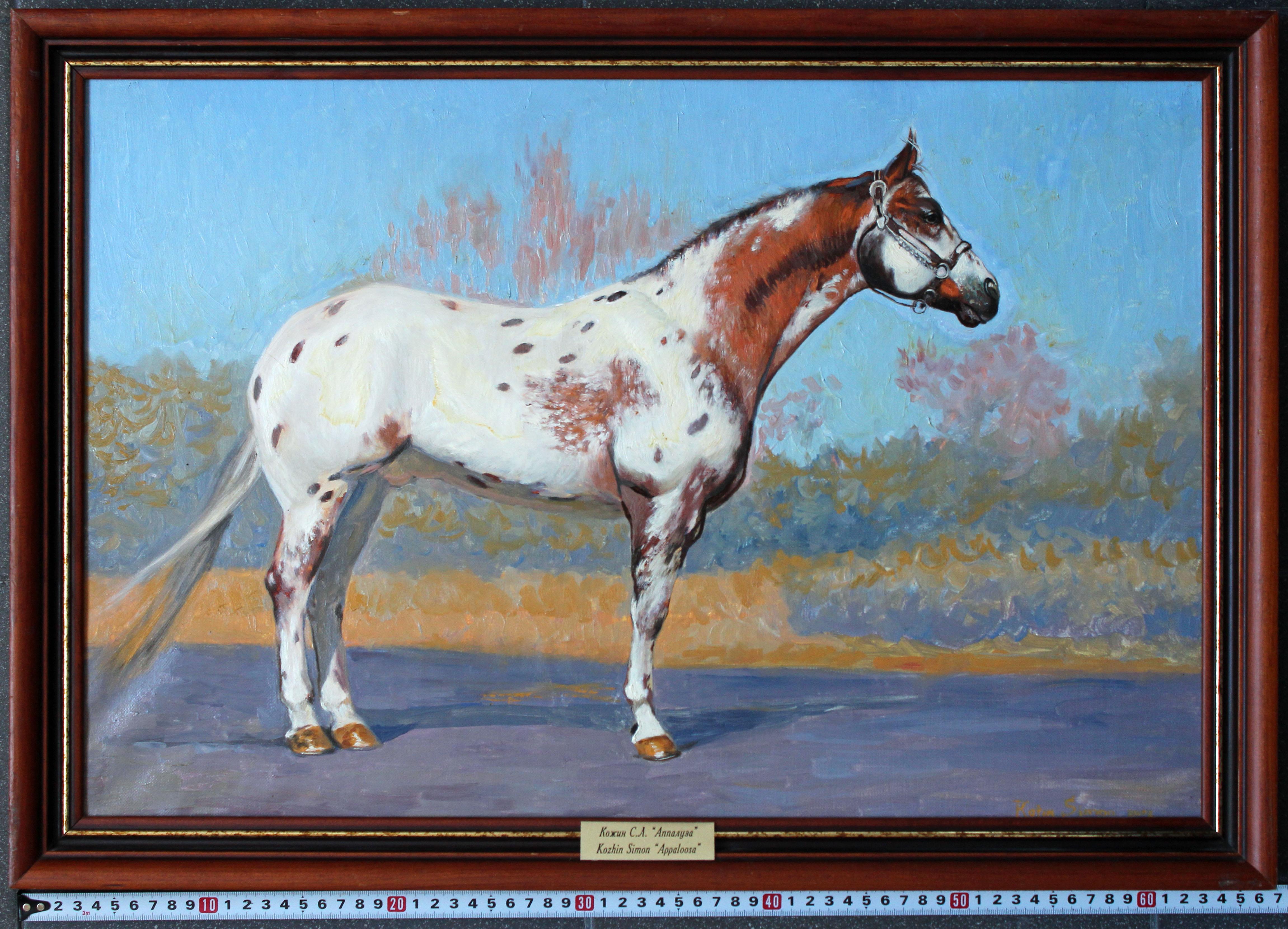 Appaloosa Horse Oil Painting Figurative Artwork by Russian painter 40x60 For Sale 6