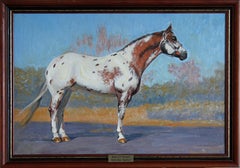 Appaloosa Horse Oil Painting Figurative Artwork by Russian painter Framed 40x60