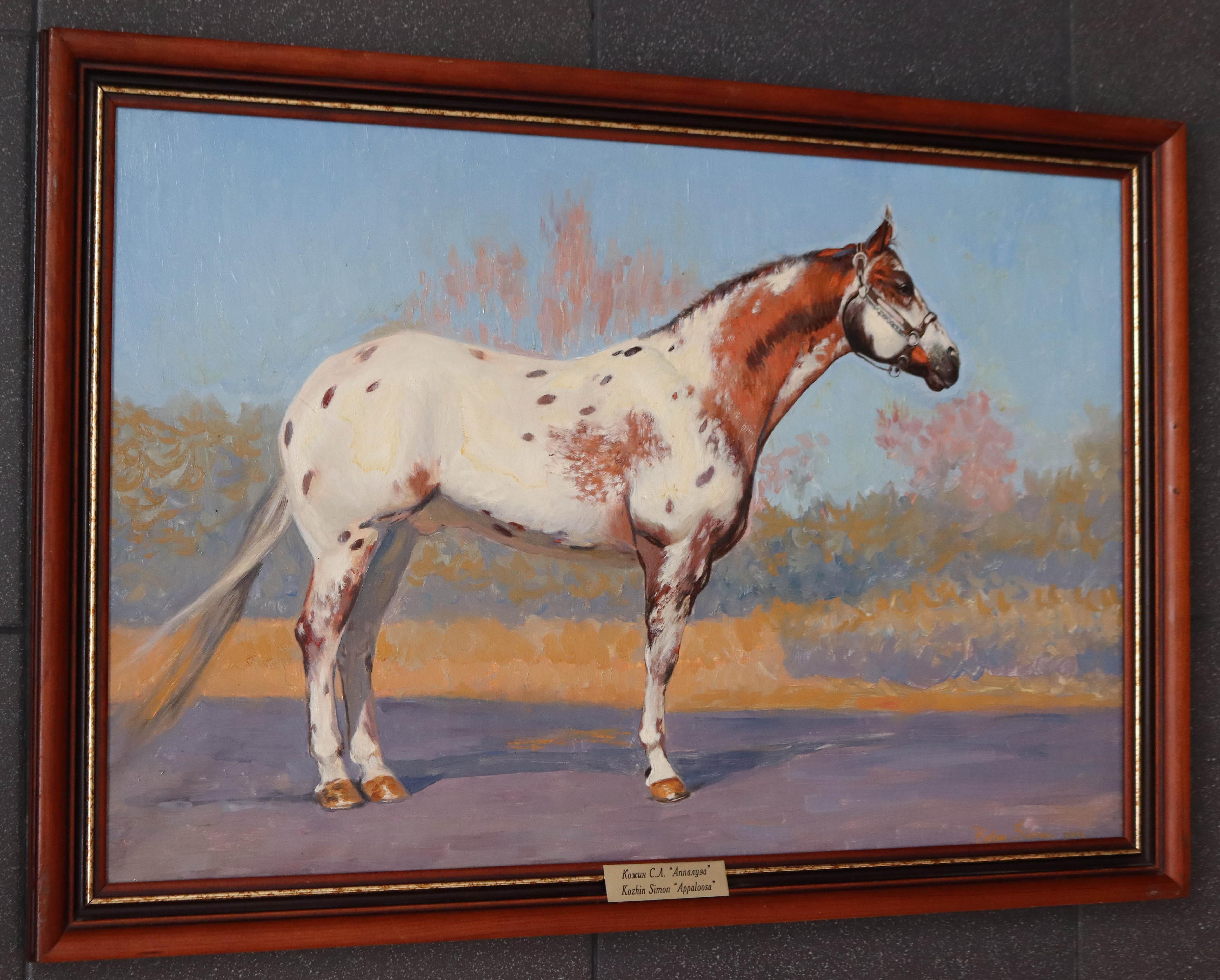 Appaloosa Horse Oil Painting Figurative Artwork by Russian painter 40x60 For Sale 9