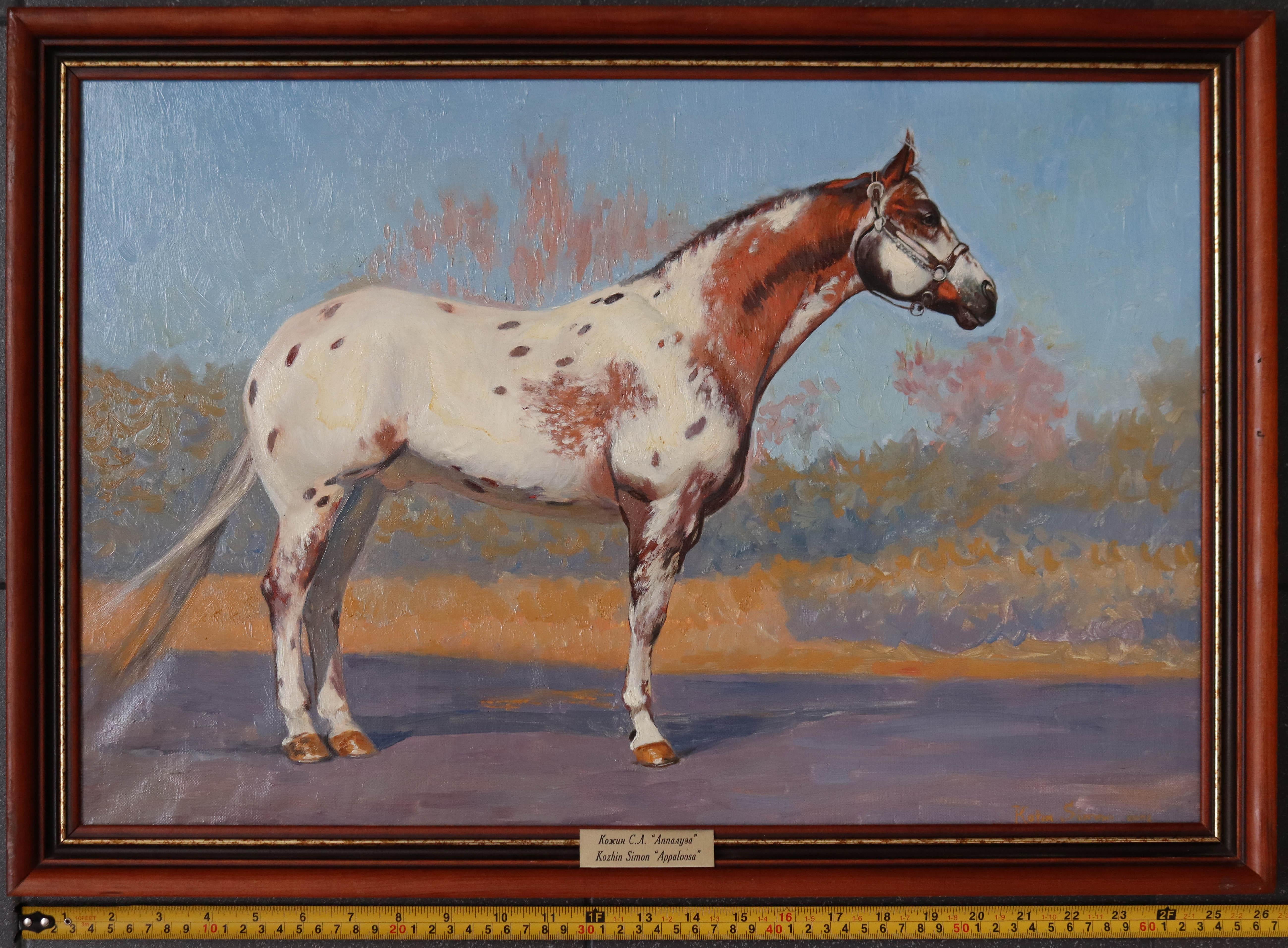 Appaloosa Horse Oil Painting Figurative Artwork by Russian painter 40x60 For Sale 12