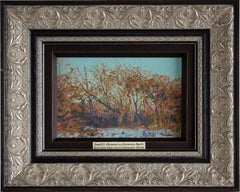 Un frutteto di mele a Kolomenskoye. Marzo