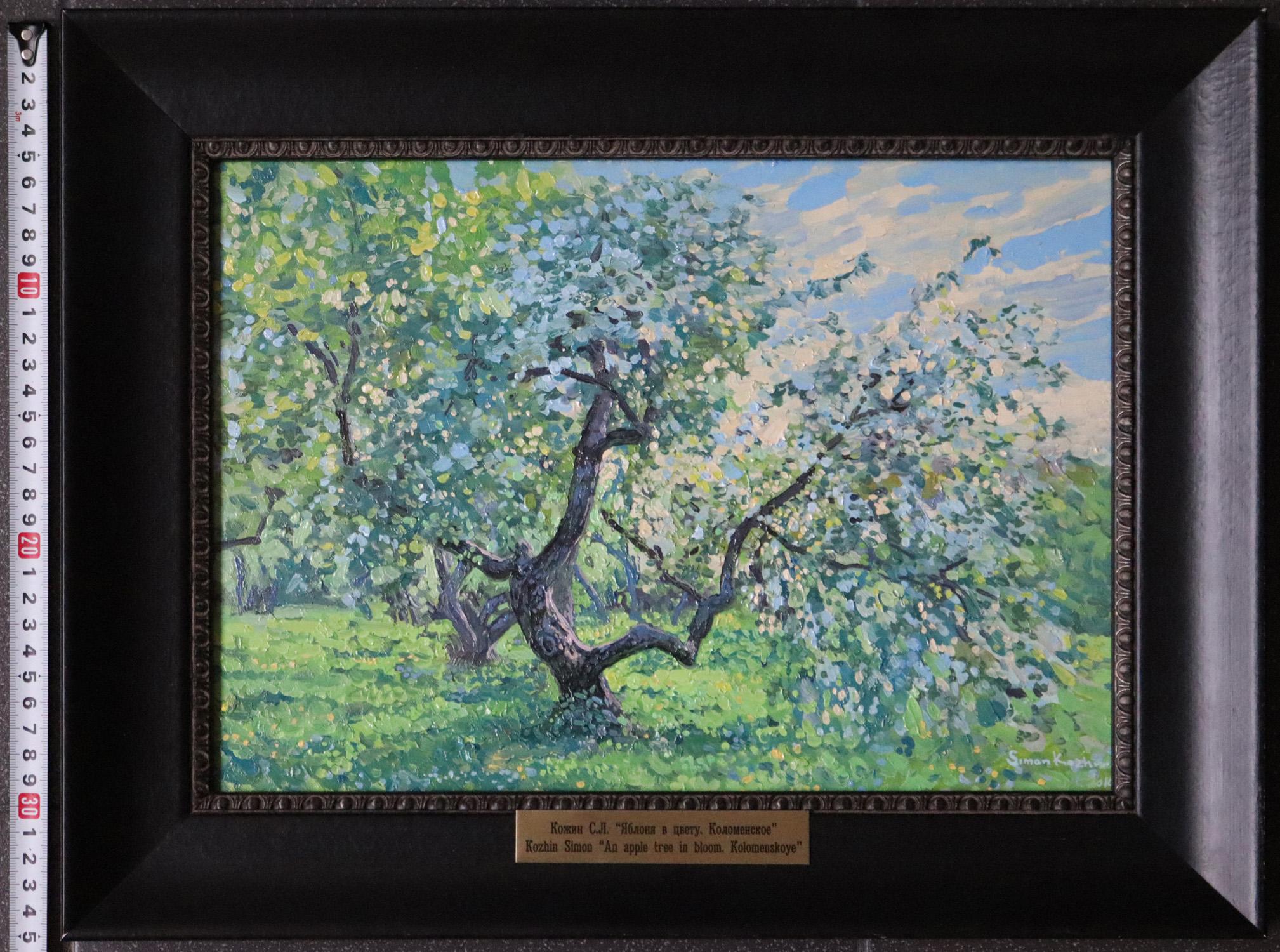 Manzano en flor. Kolomenskoye Pintura al óleo Impresionista de Simon Kozhin en venta 5