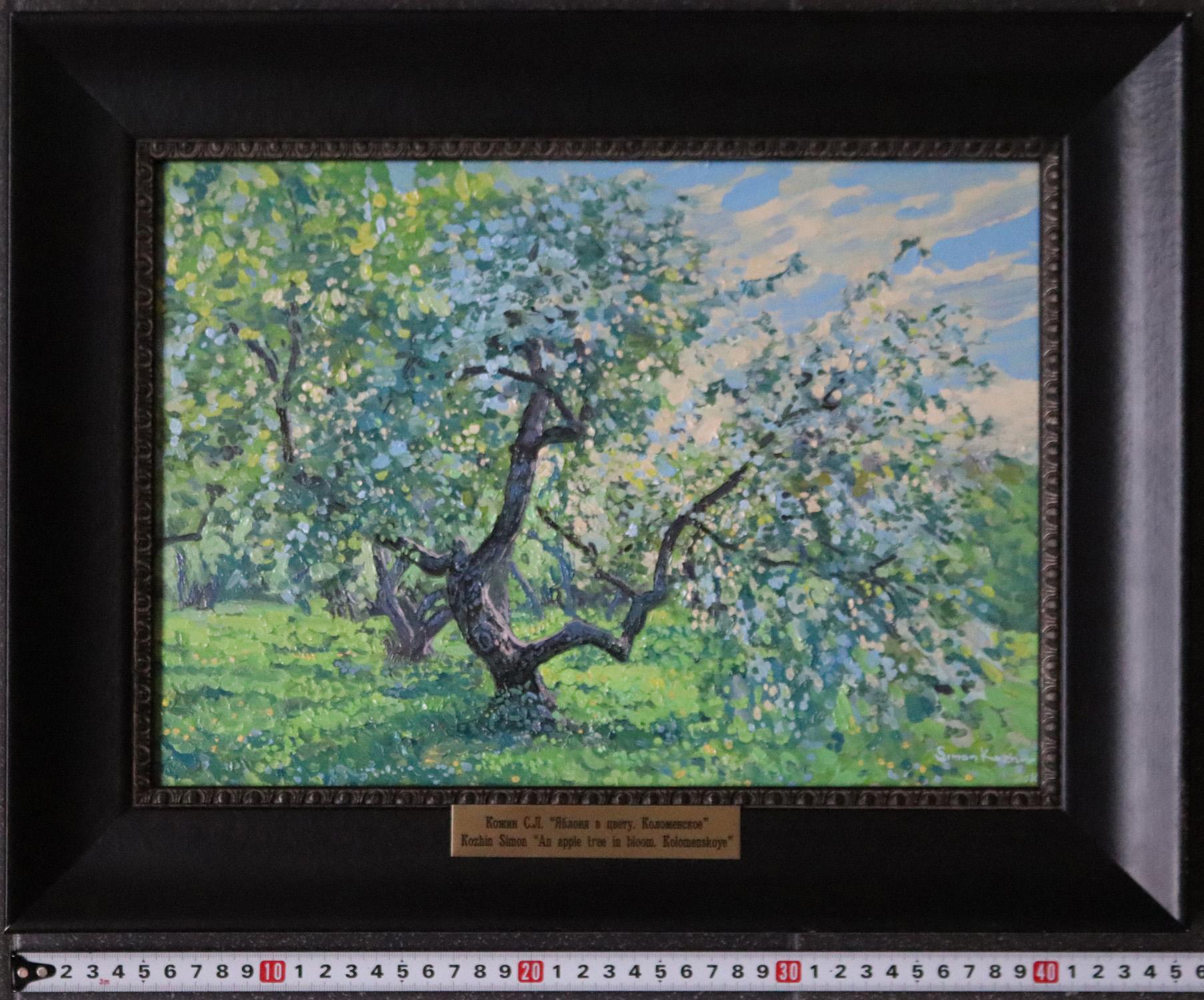 Manzano en flor. Kolomenskoye Pintura al óleo Impresionista de Simon Kozhin en venta 6