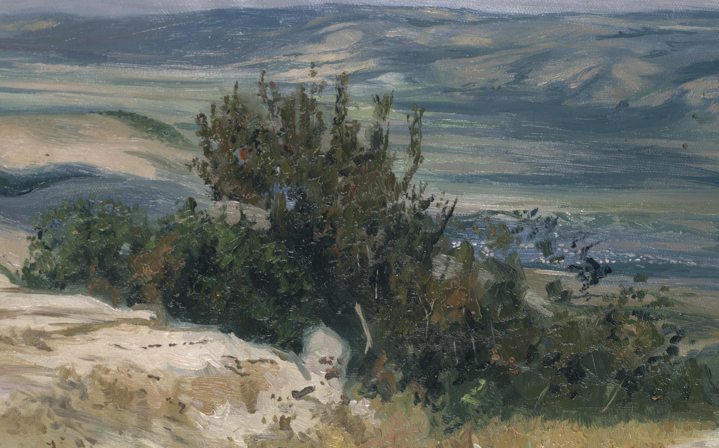 En été, les montagnes de Crimée sont couvertes d'herbe brûlée par le soleil brûlant et d'arbres poussant sur un sol rocailleux. Depuis les sommets, vous pouvez profiter de vues pittoresques sur la vallée, avec une variété de nuances et de