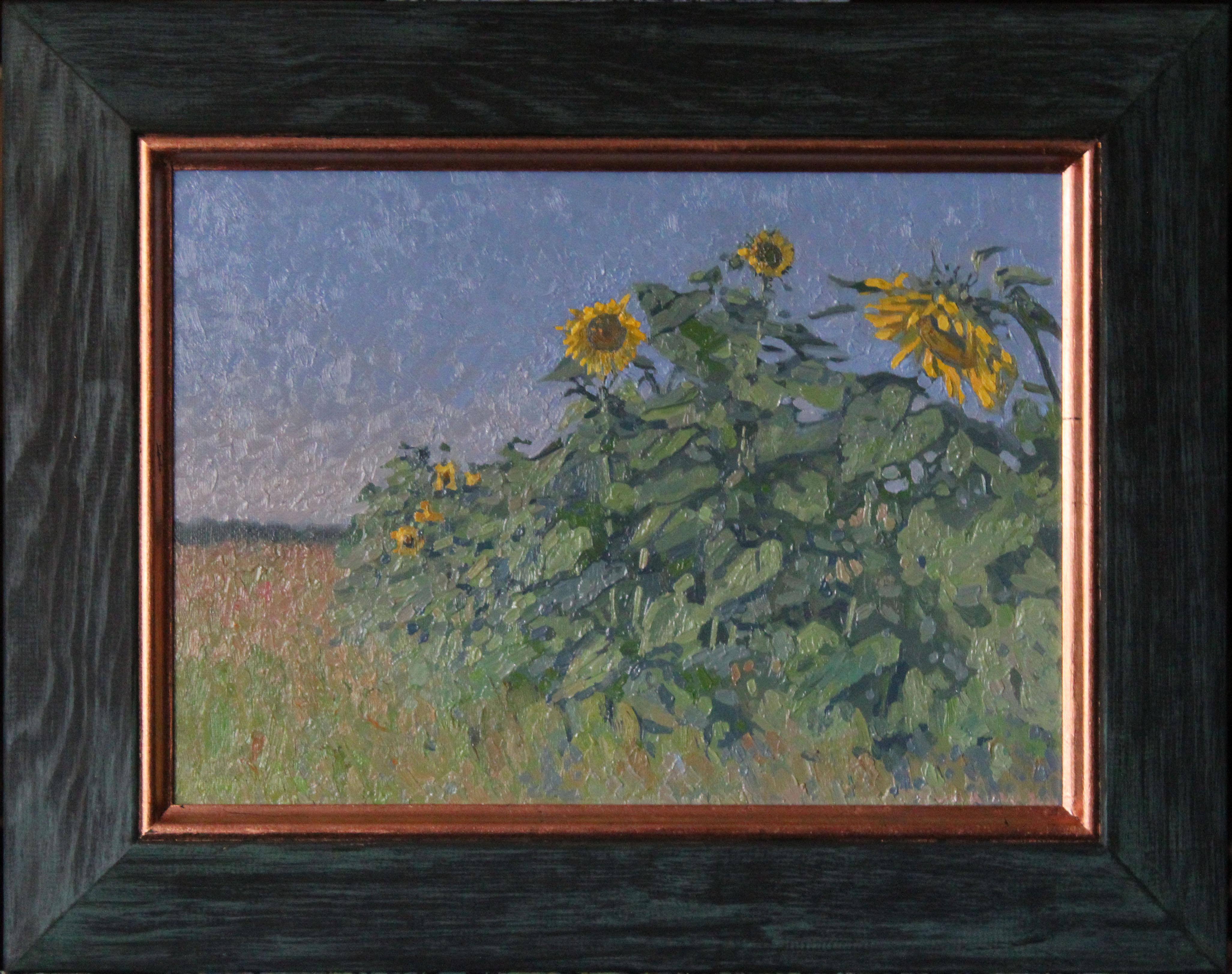 Agosto. Regalos de verano. Girasoles en venta 5