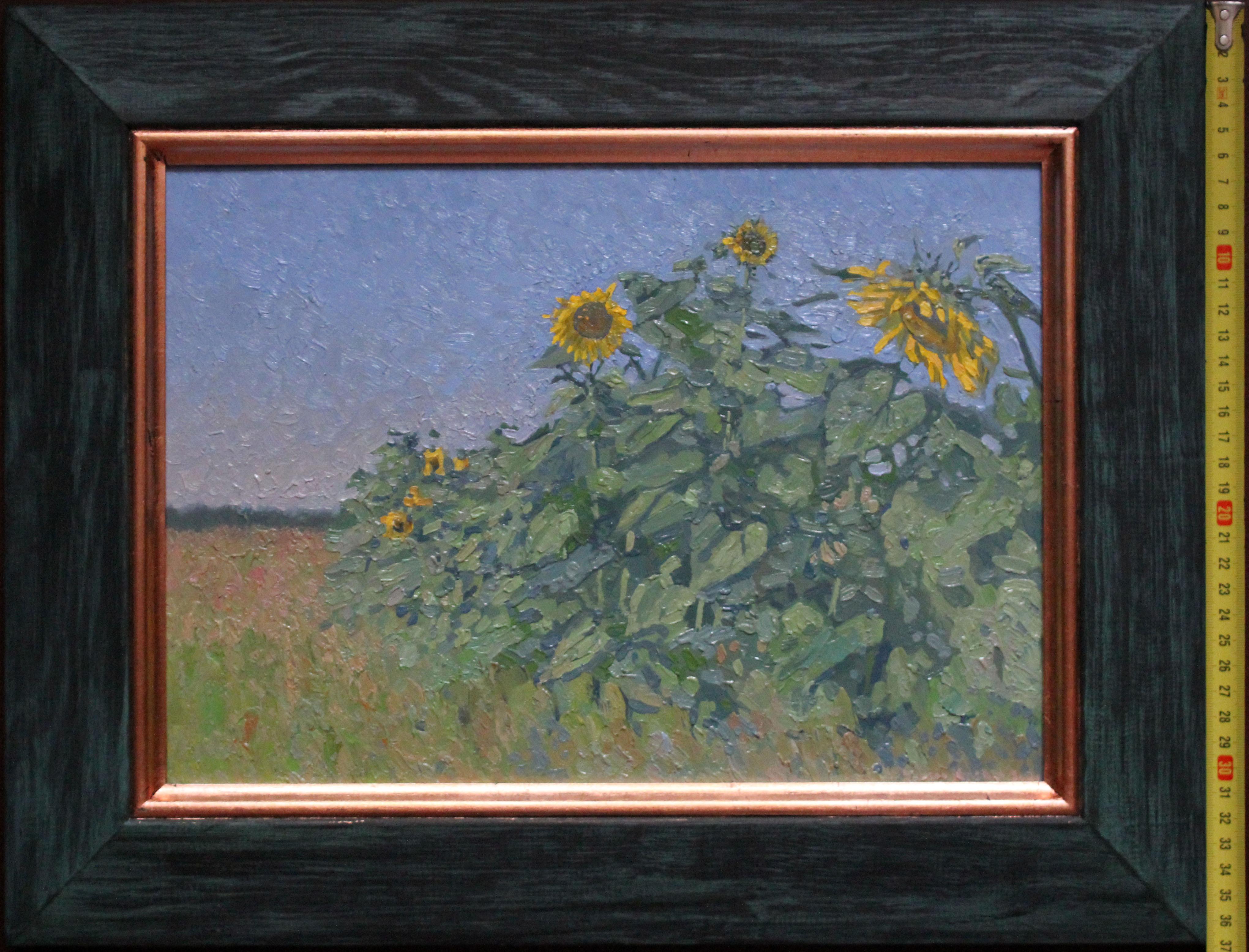 Agosto. Regalos de verano. Girasoles en venta 10