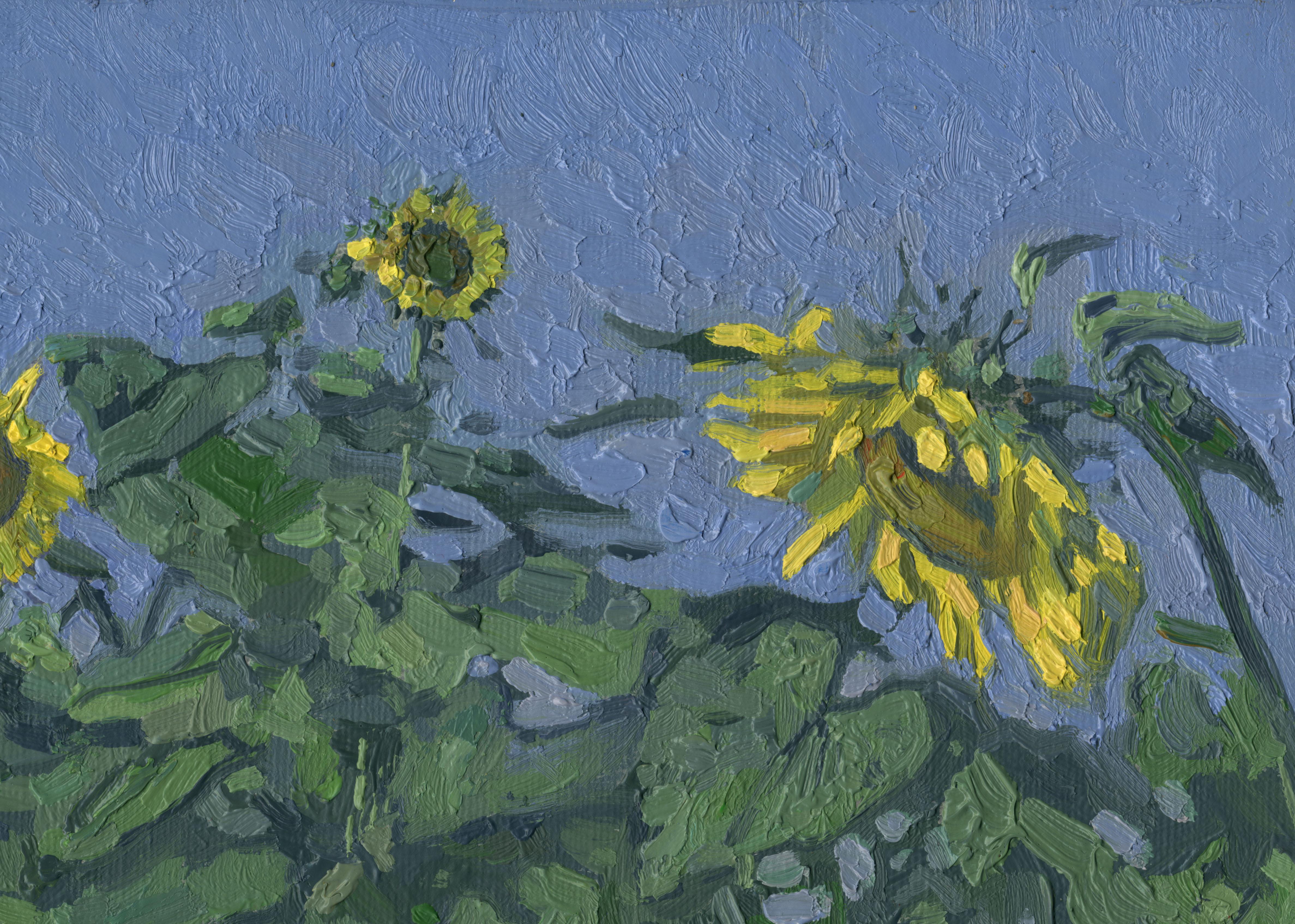 Agosto. Regalos de verano. Girasoles - Painting Impresionista de Simon Kozhin