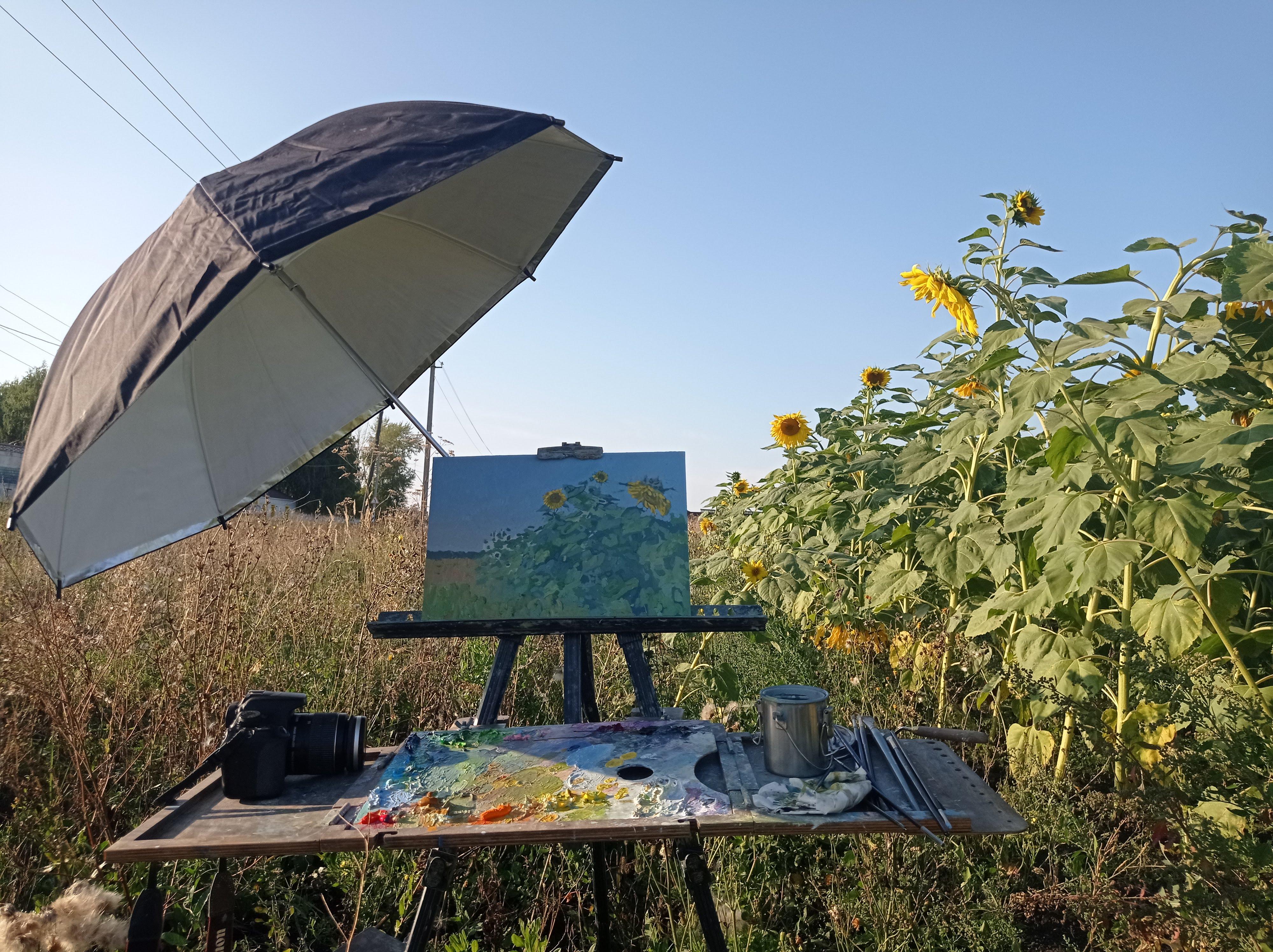 Agosto. Regalos de verano. Girasoles en venta 3
