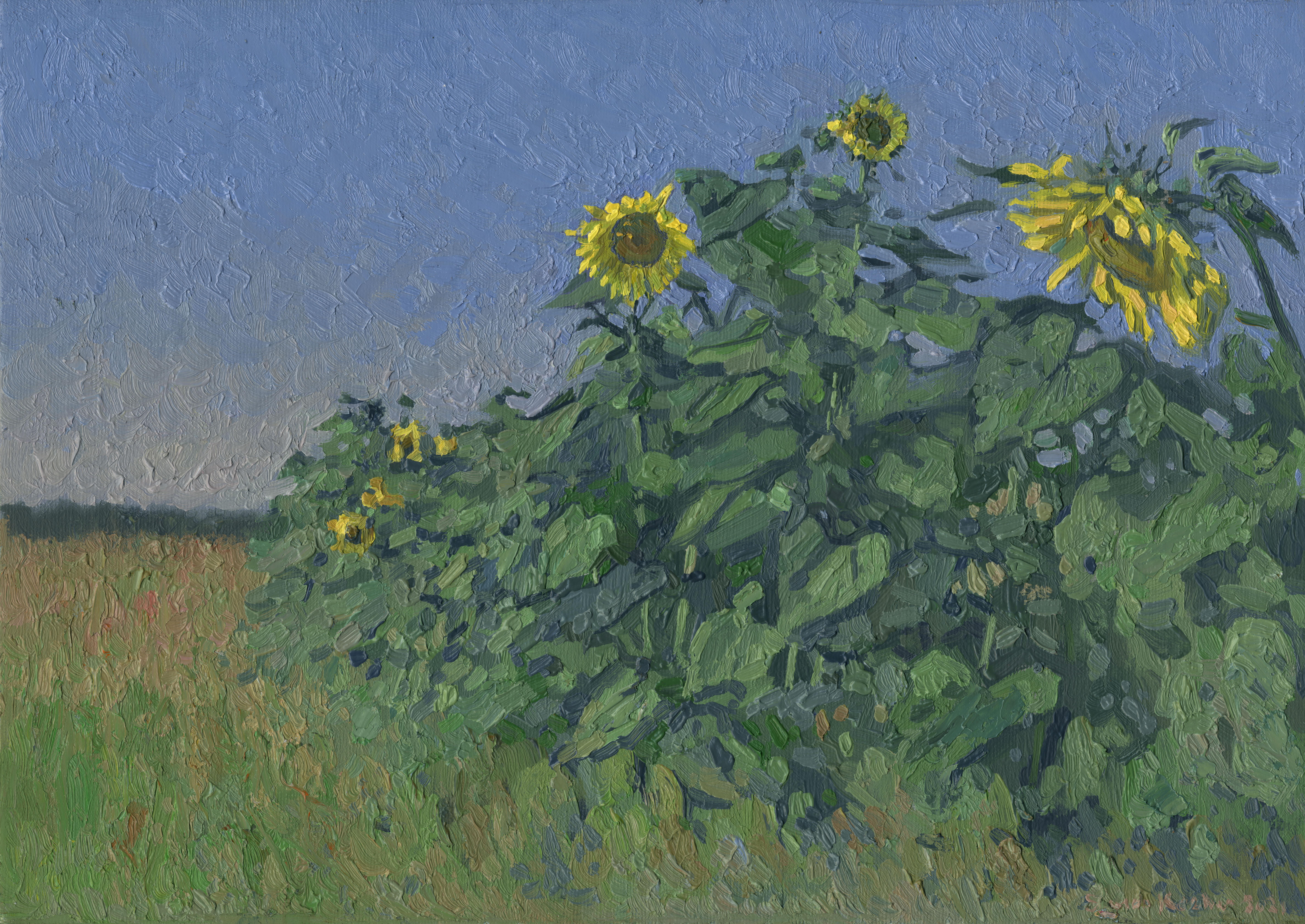 Landscape Painting de Simon Kozhin - Agosto. Regalos de verano. Girasoles