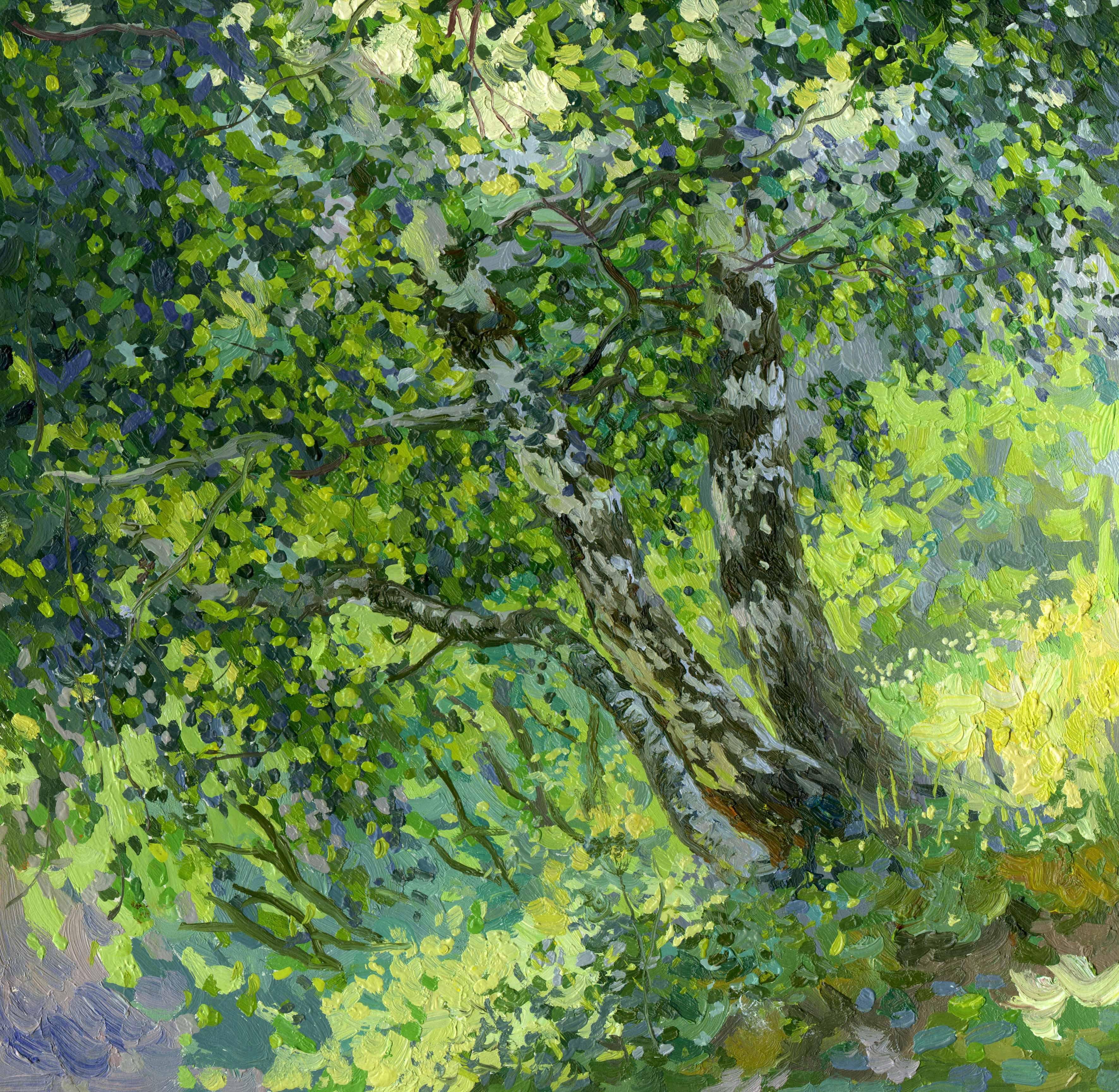 Birches Impressionist painting 2004 Oil on cardboard 25 x 25.3 cm Framed New