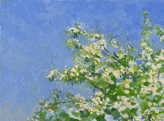 Manzano en flor Pintura impresionista 2011 Óleo sobre lienzo, tabla 30 x 40 cm