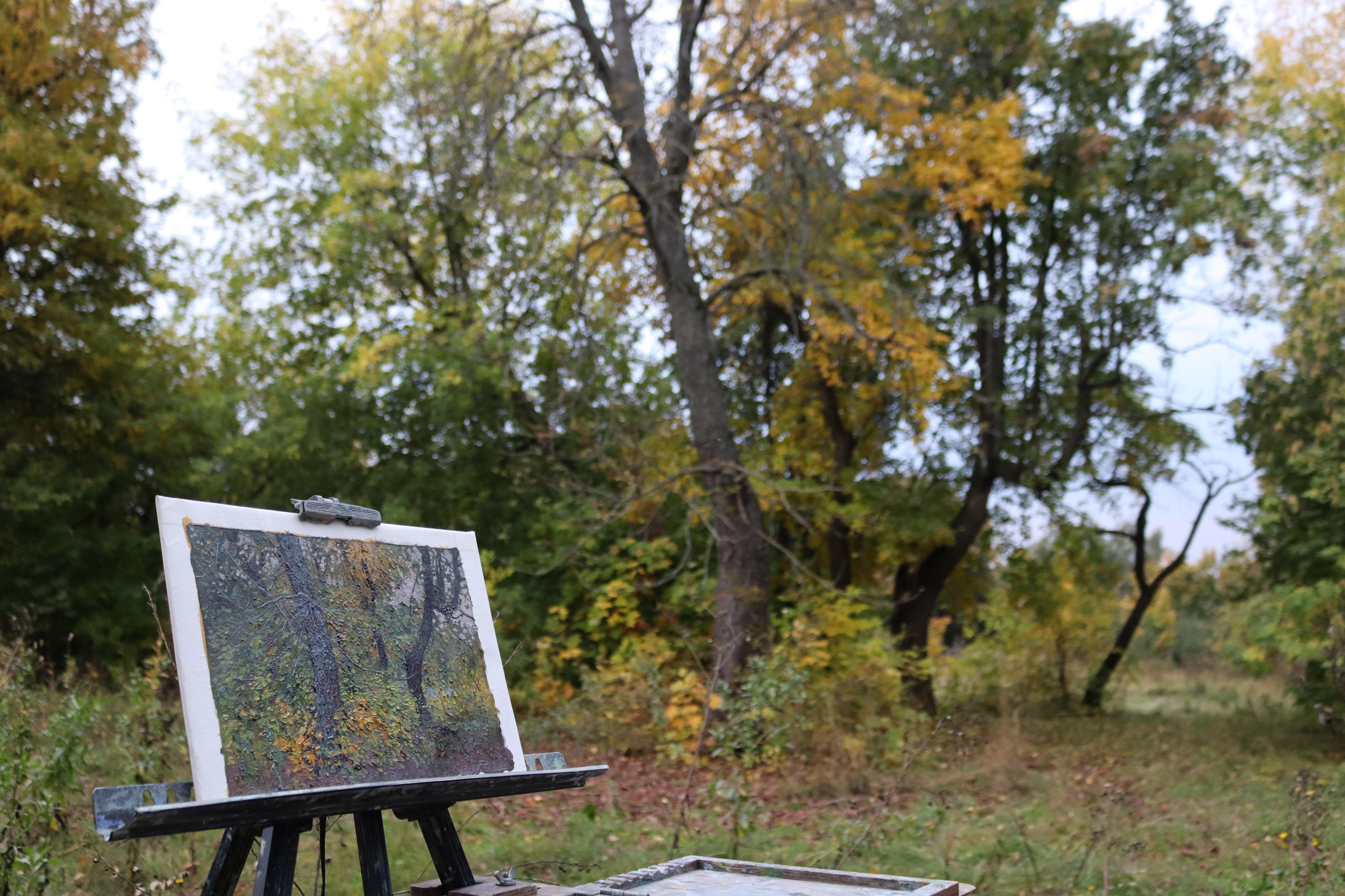 Kastanienbaum im Herbst. Zarizyno im Angebot 9