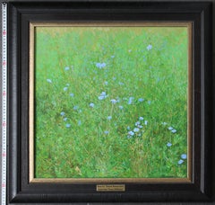 Cicoria. Fiori selvatici