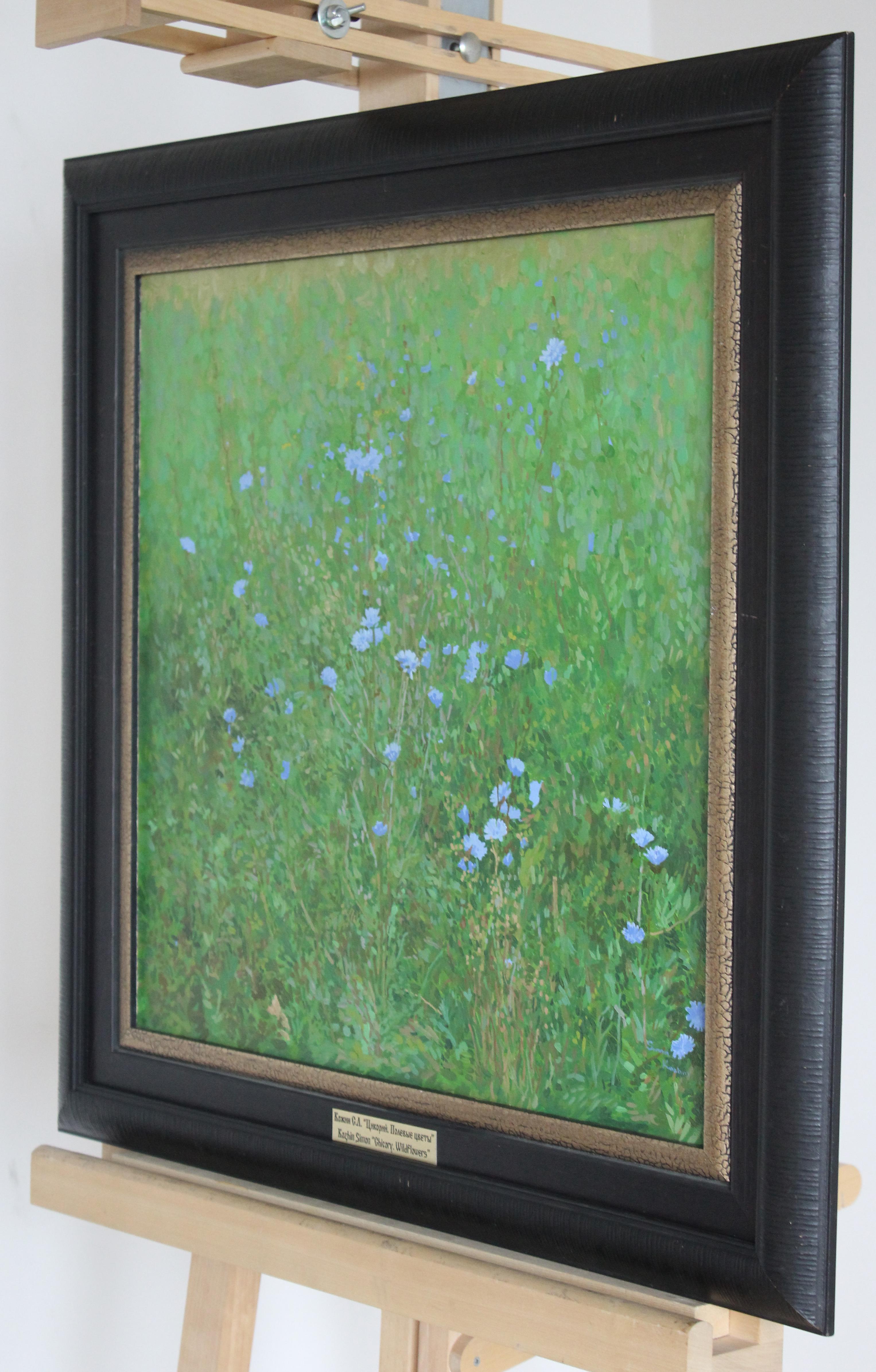 Chicory. Wildflowers For Sale 2