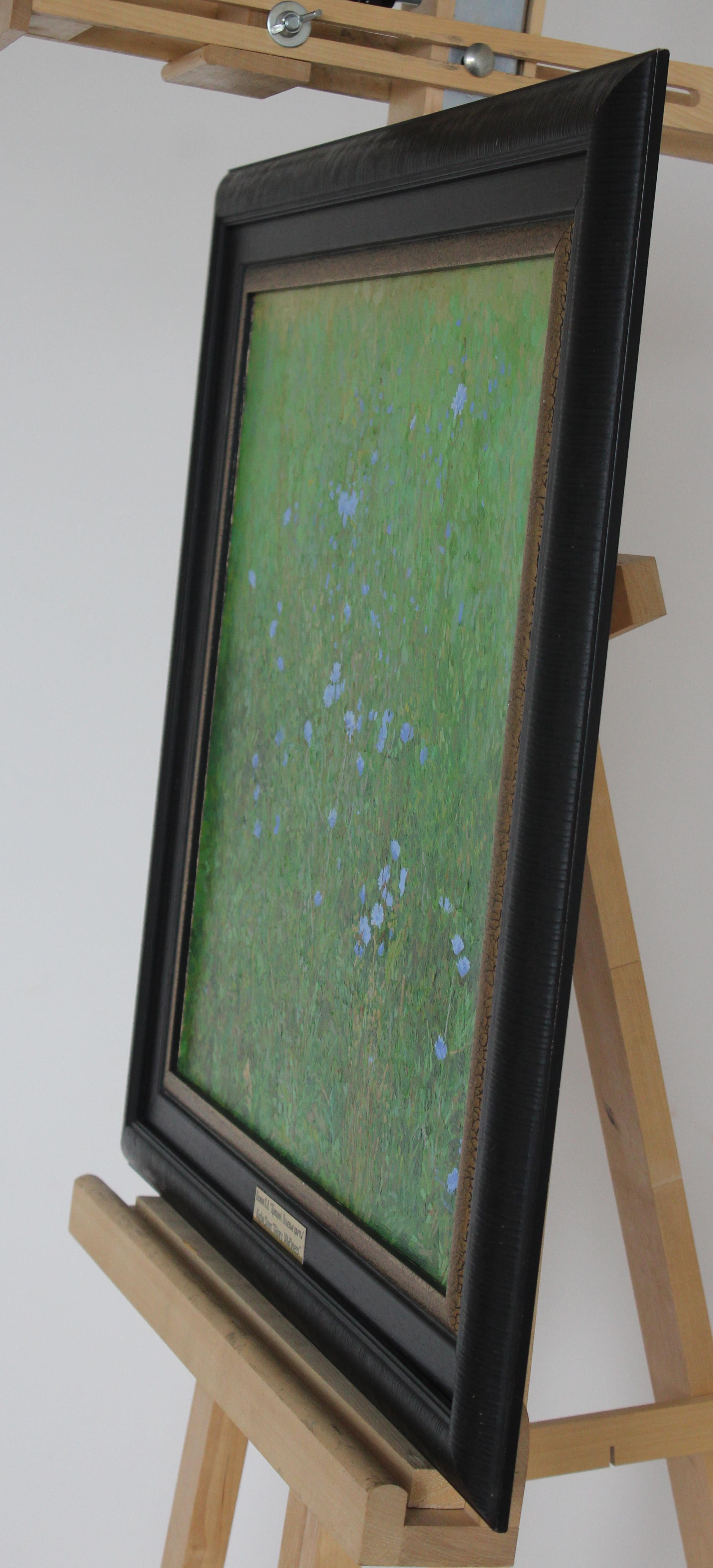 Chicory. Wildflowers For Sale 3