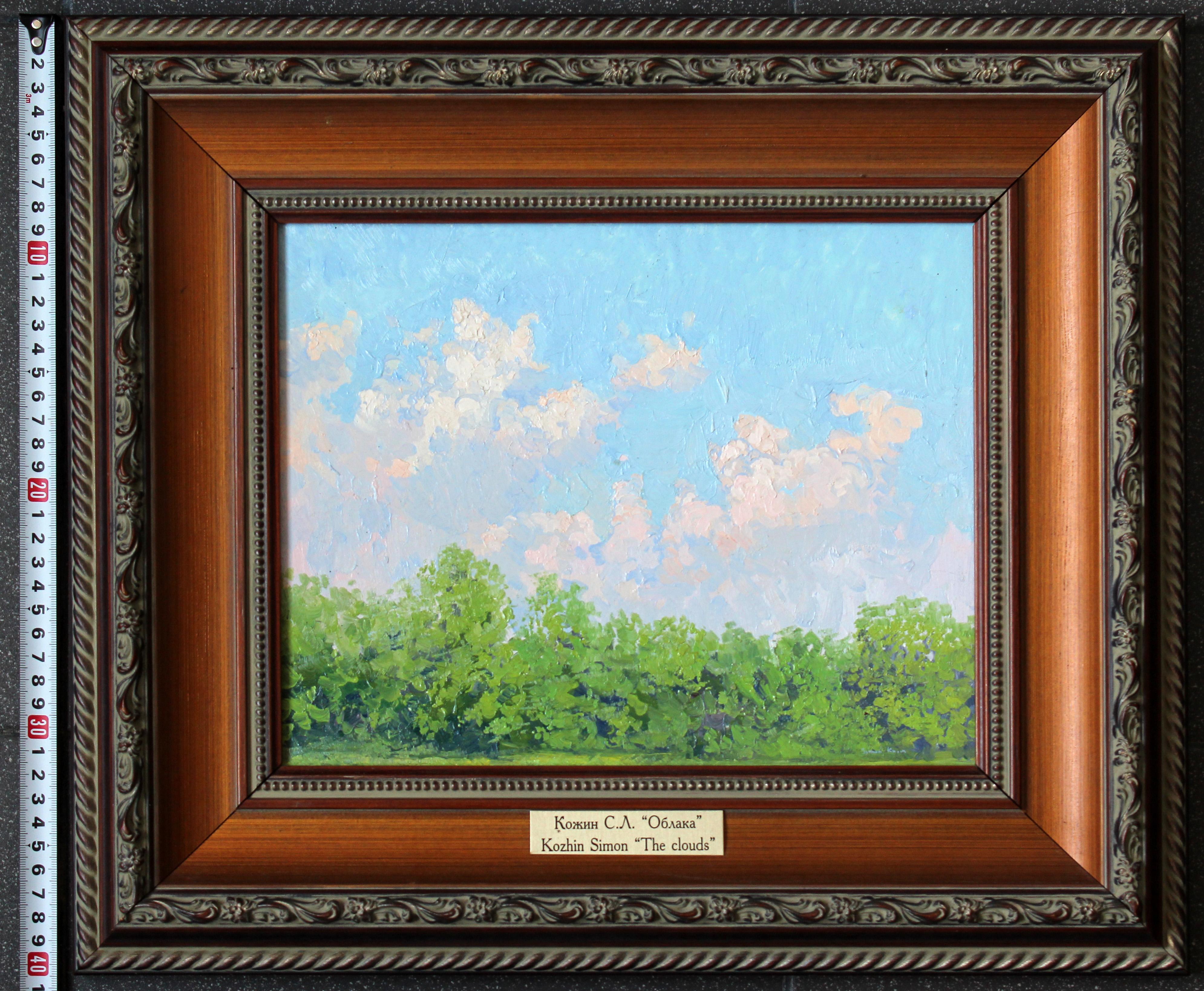 Clouds. Botanical Garden For Sale 2