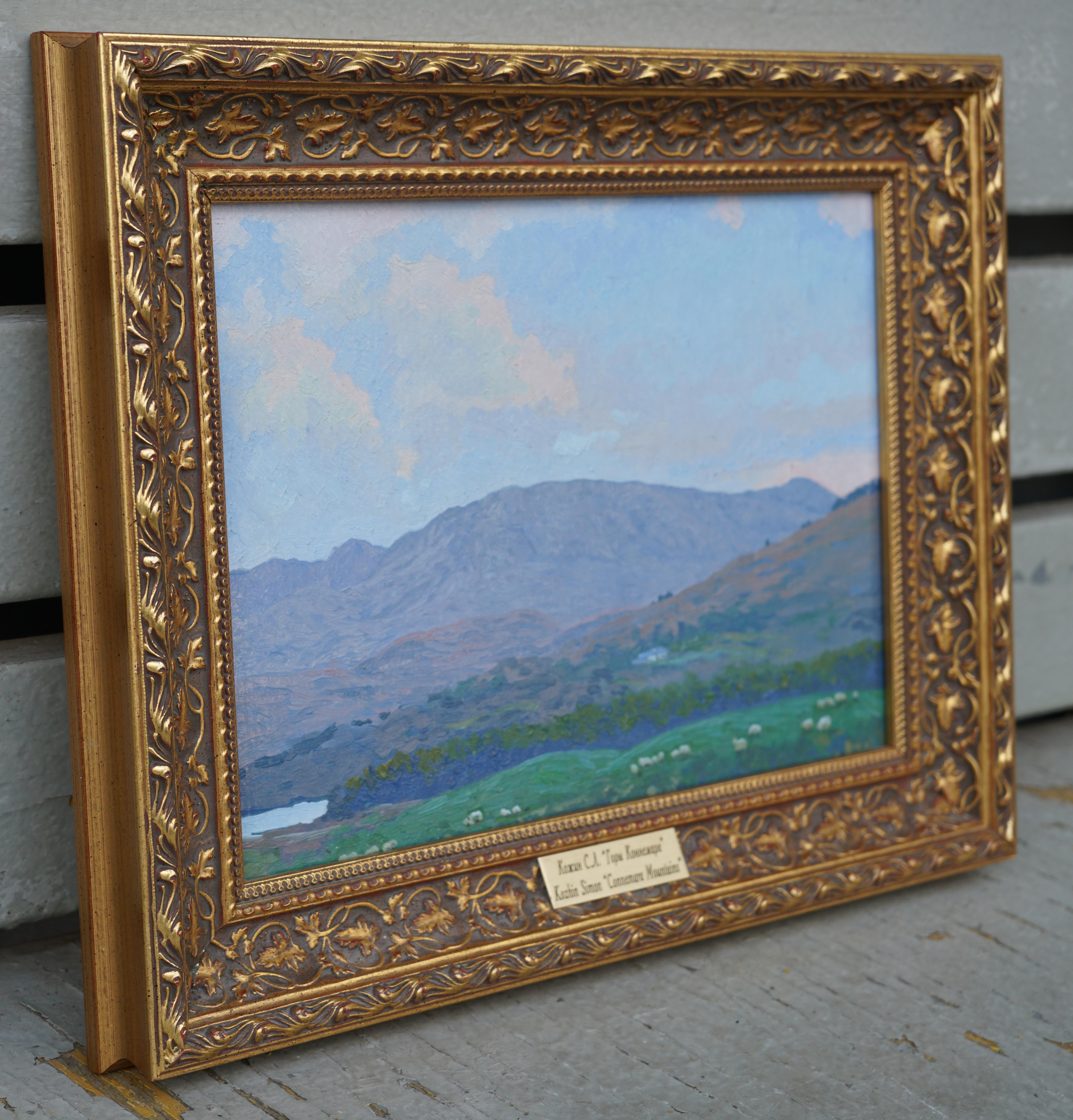 Montañas de Connemara en venta 5