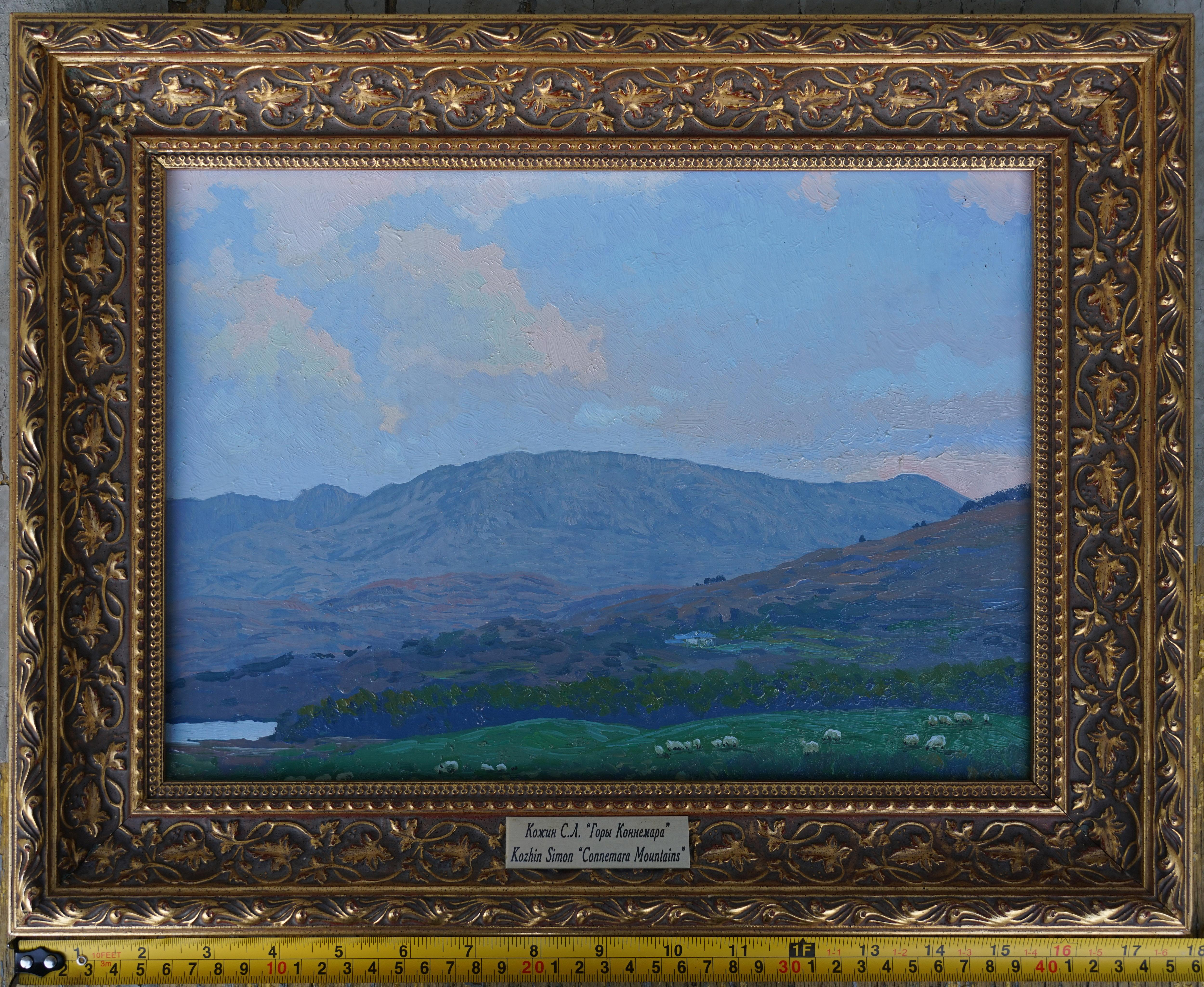 Montañas de Connemara en venta 9