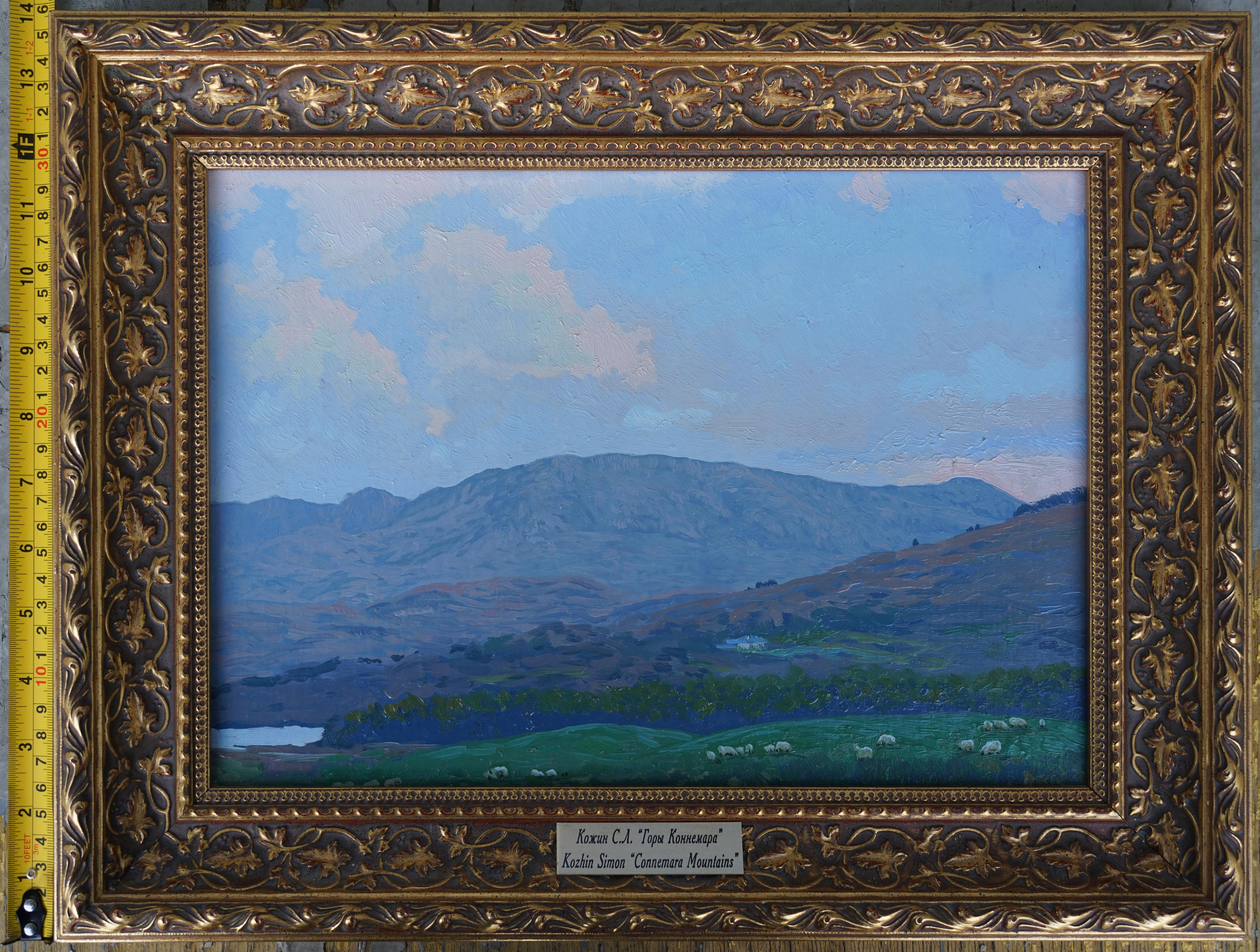 Montañas de Connemara en venta 10