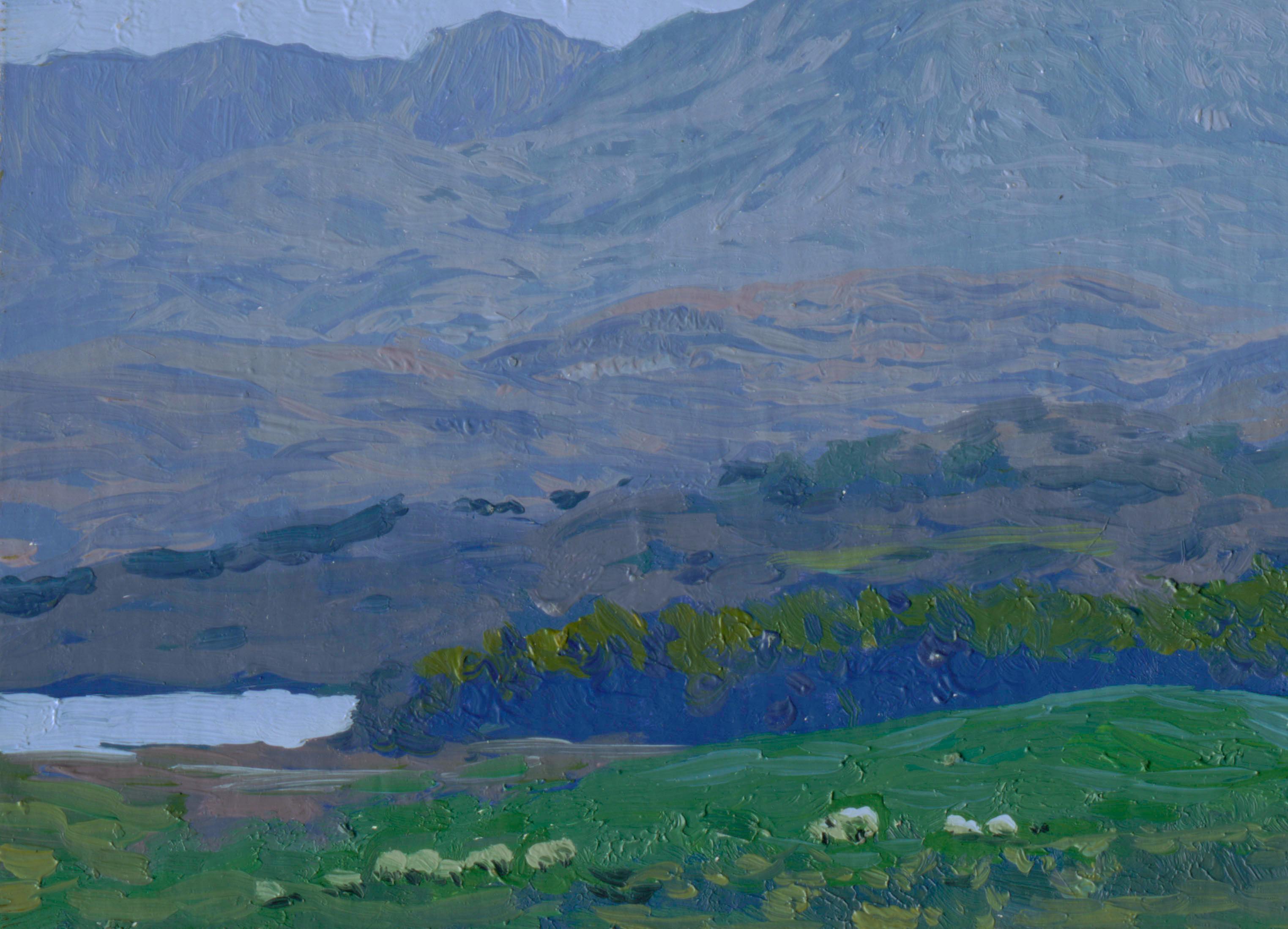 Montañas de Connemara - Landscape Painting Púrpura de Simon Kozhin