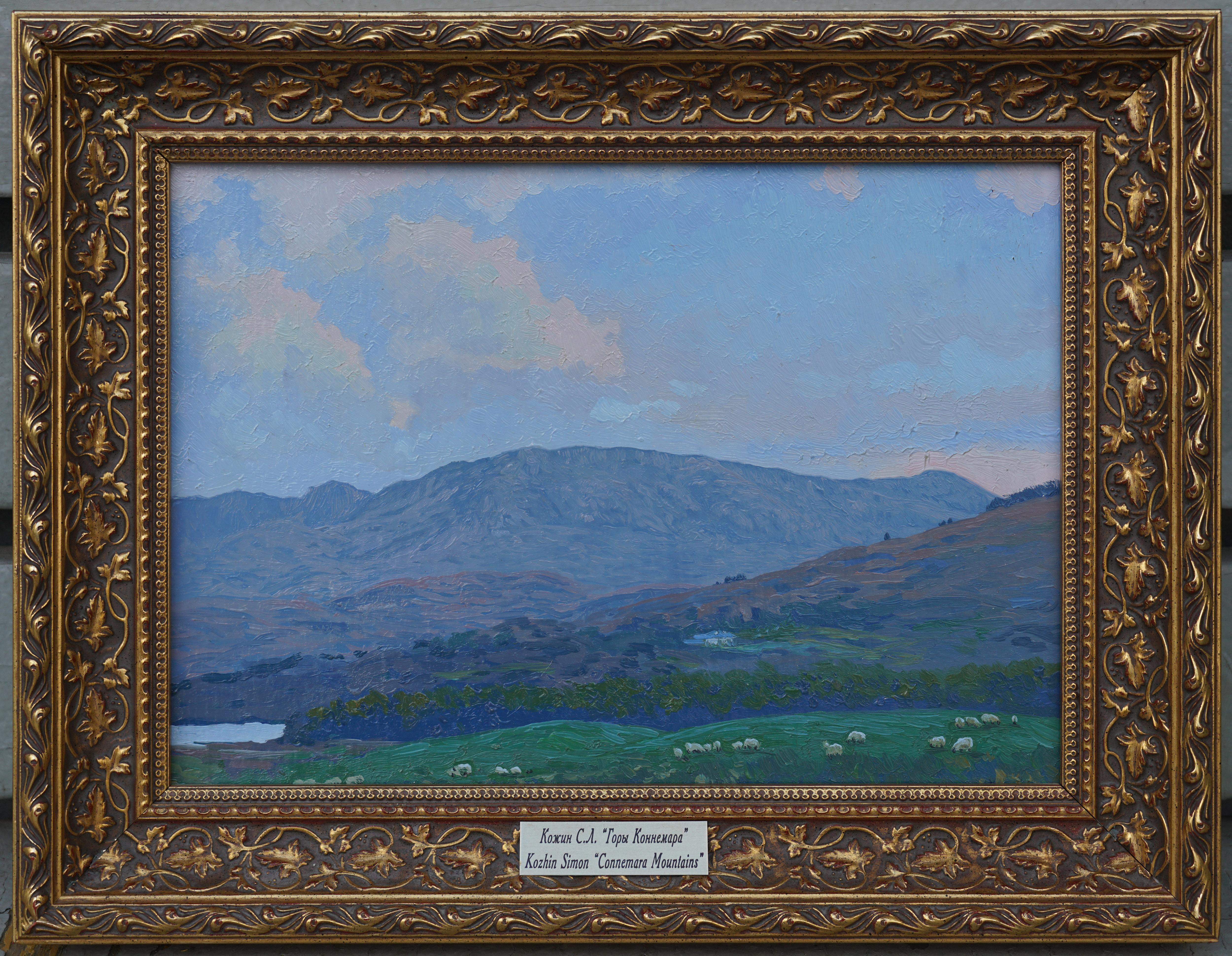 Montañas de Connemara en venta 2