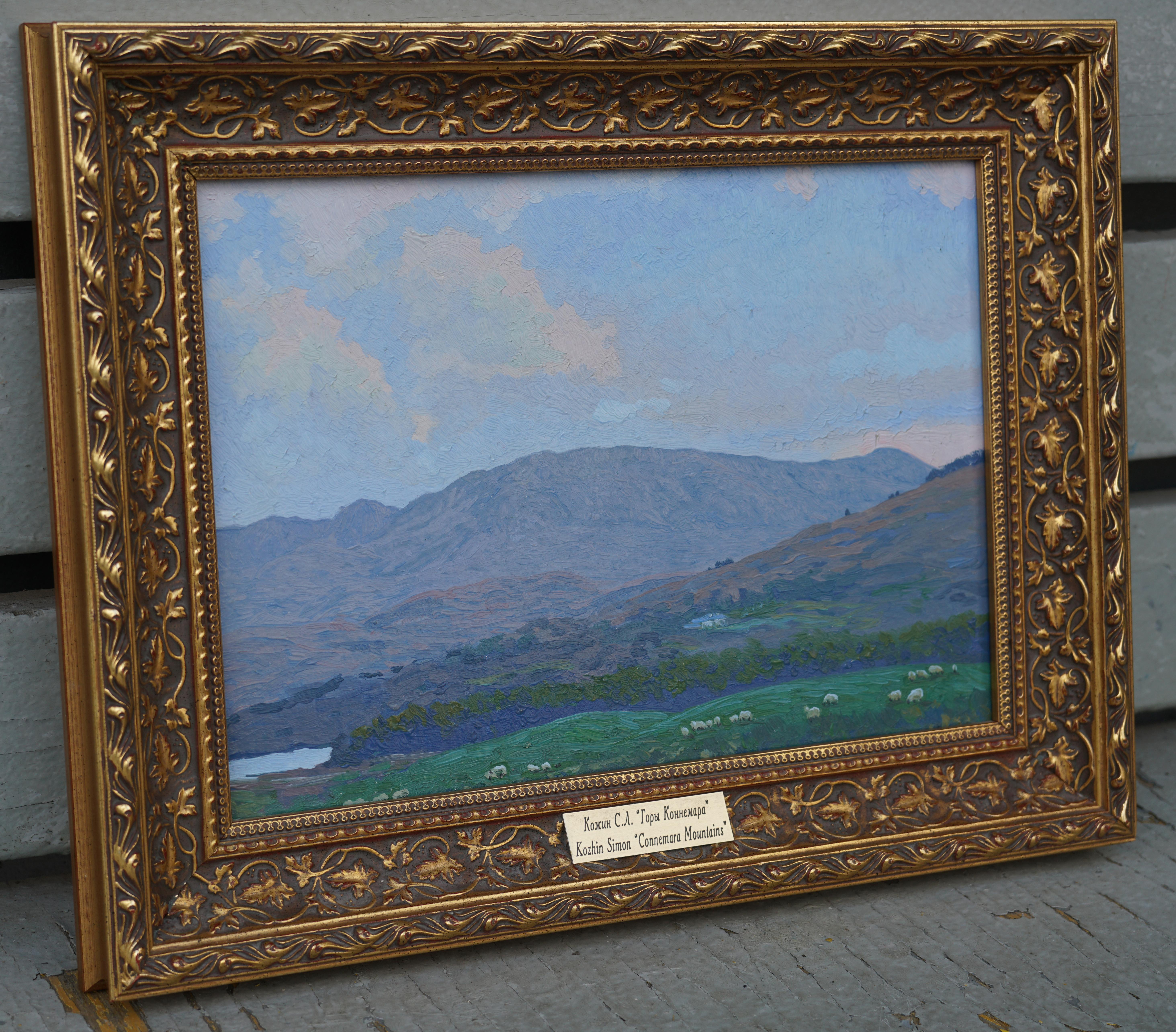 Montañas de Connemara en venta 4
