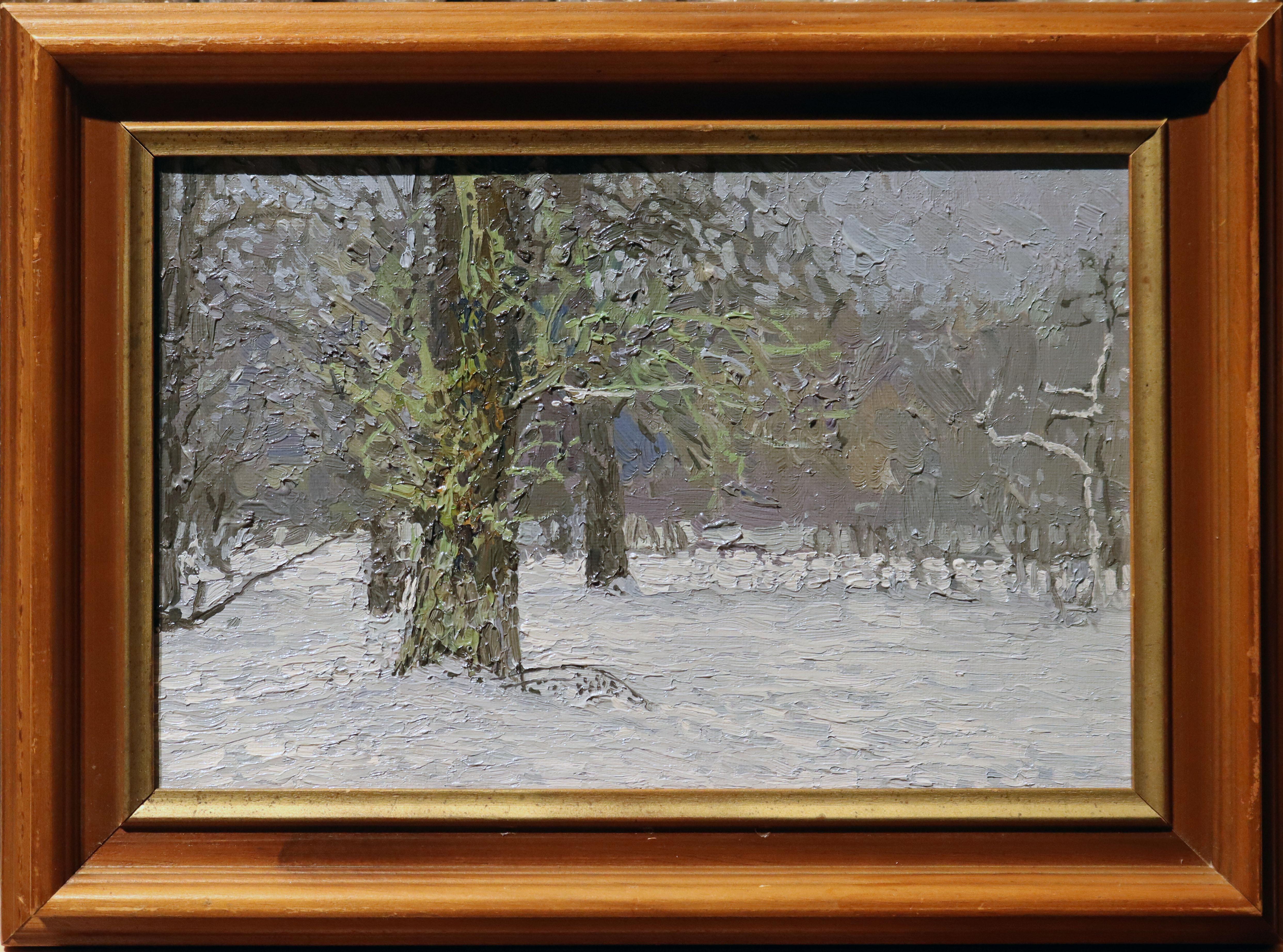 December. Old poplar in Tsaritsyno. Winter Impressionist Oil landscape with tree - Painting by Simon Kozhin