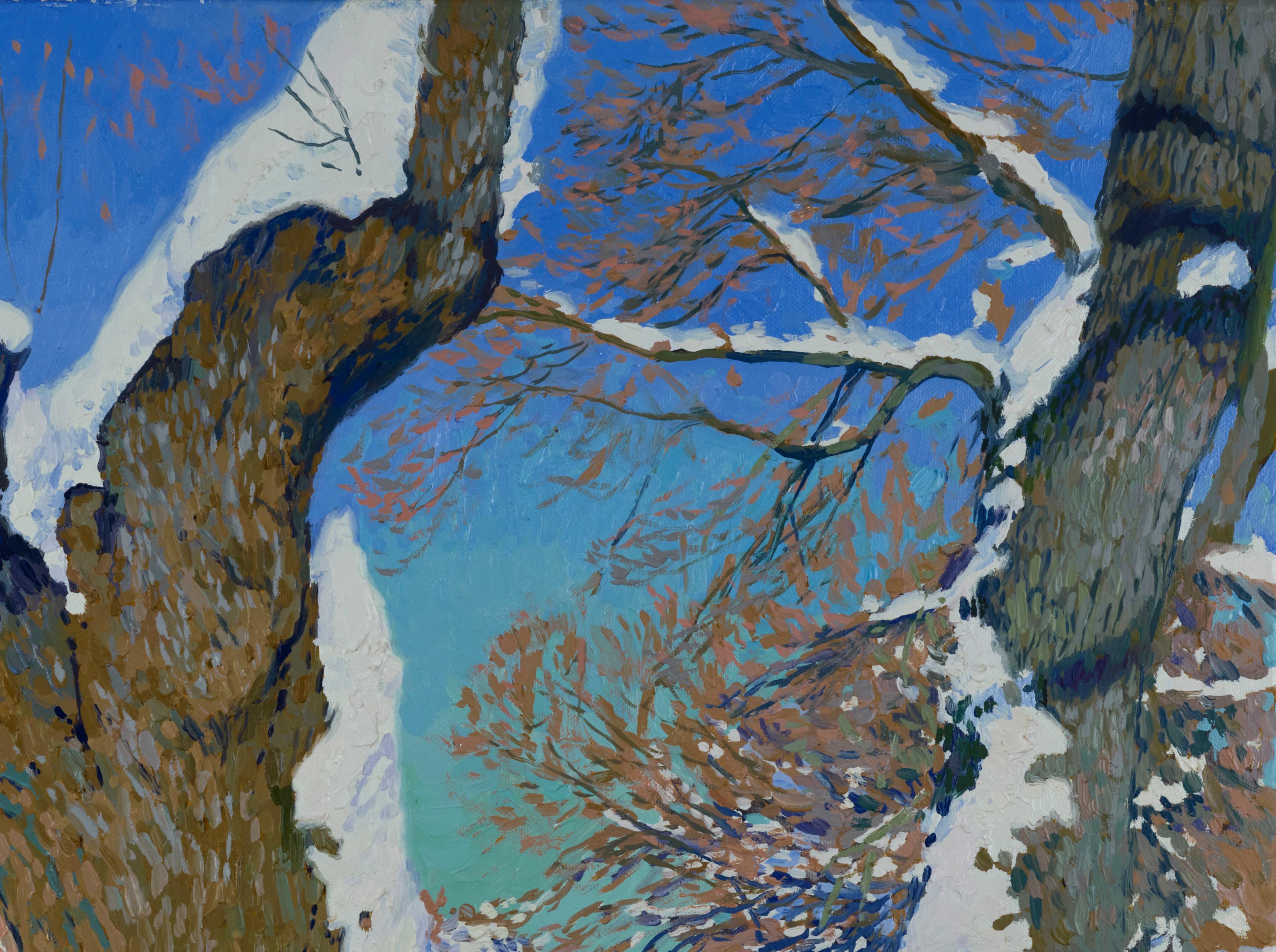 In winter, the enchantress wrapped trees in the Kolomensky garden with her duvet. Many branches of trees broke due to the large amount of snow, and the snow itself looks like foam, so lush it lay on the branch.
Exhibition:
2019 Exhibition at the