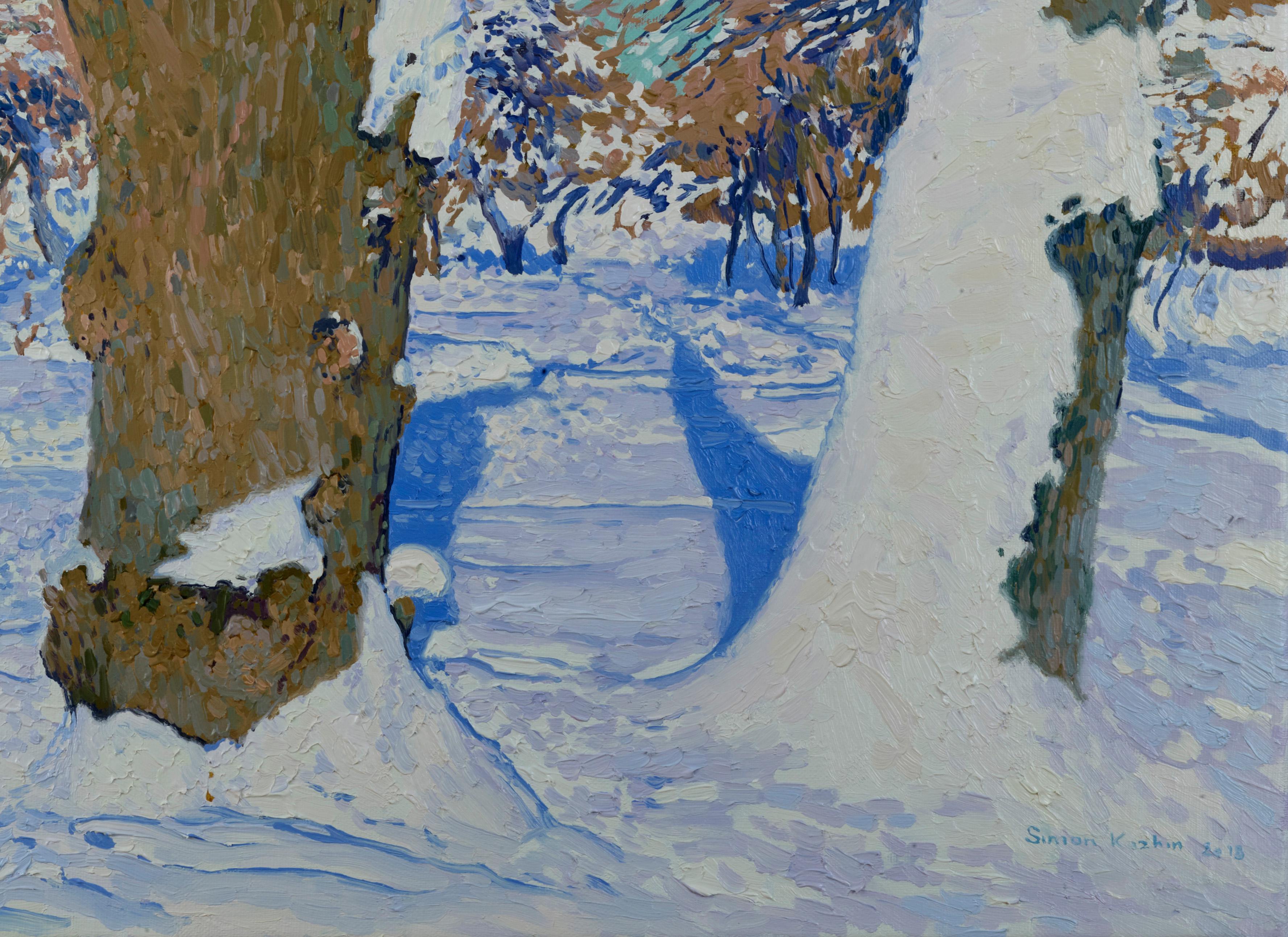 In inverno, l'incantatrice avvolgeva gli alberi del giardino Kolomensky con il suo piumino. Molti rami di alberi si sono spezzati a causa della grande quantità di neve e la neve stessa sembra una schiuma, così rigogliosa da posarsi sul