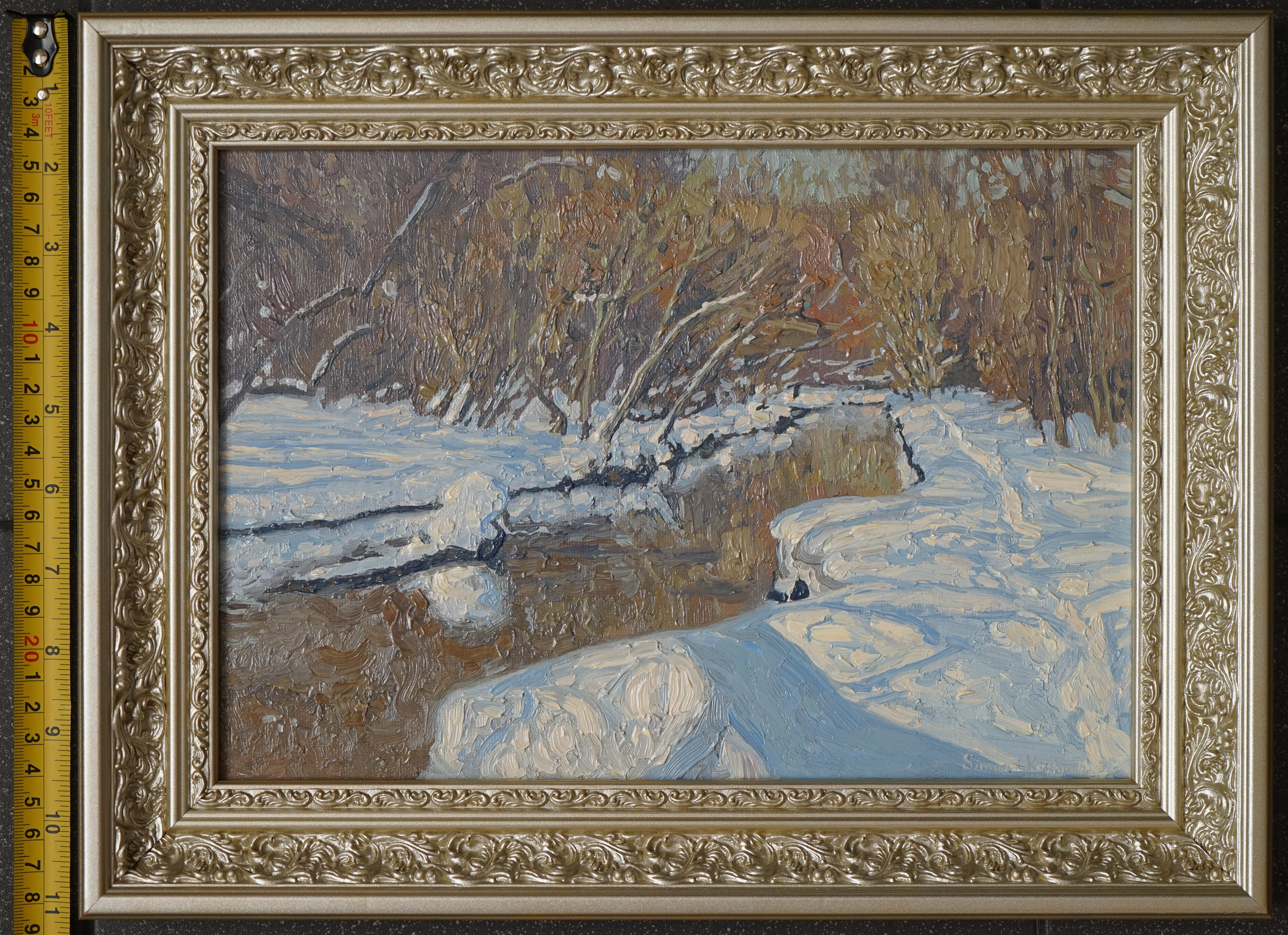 Sole di febbraio. Fiume Churilikha, paesaggio invernale di Simon Kozhin in vendita 14