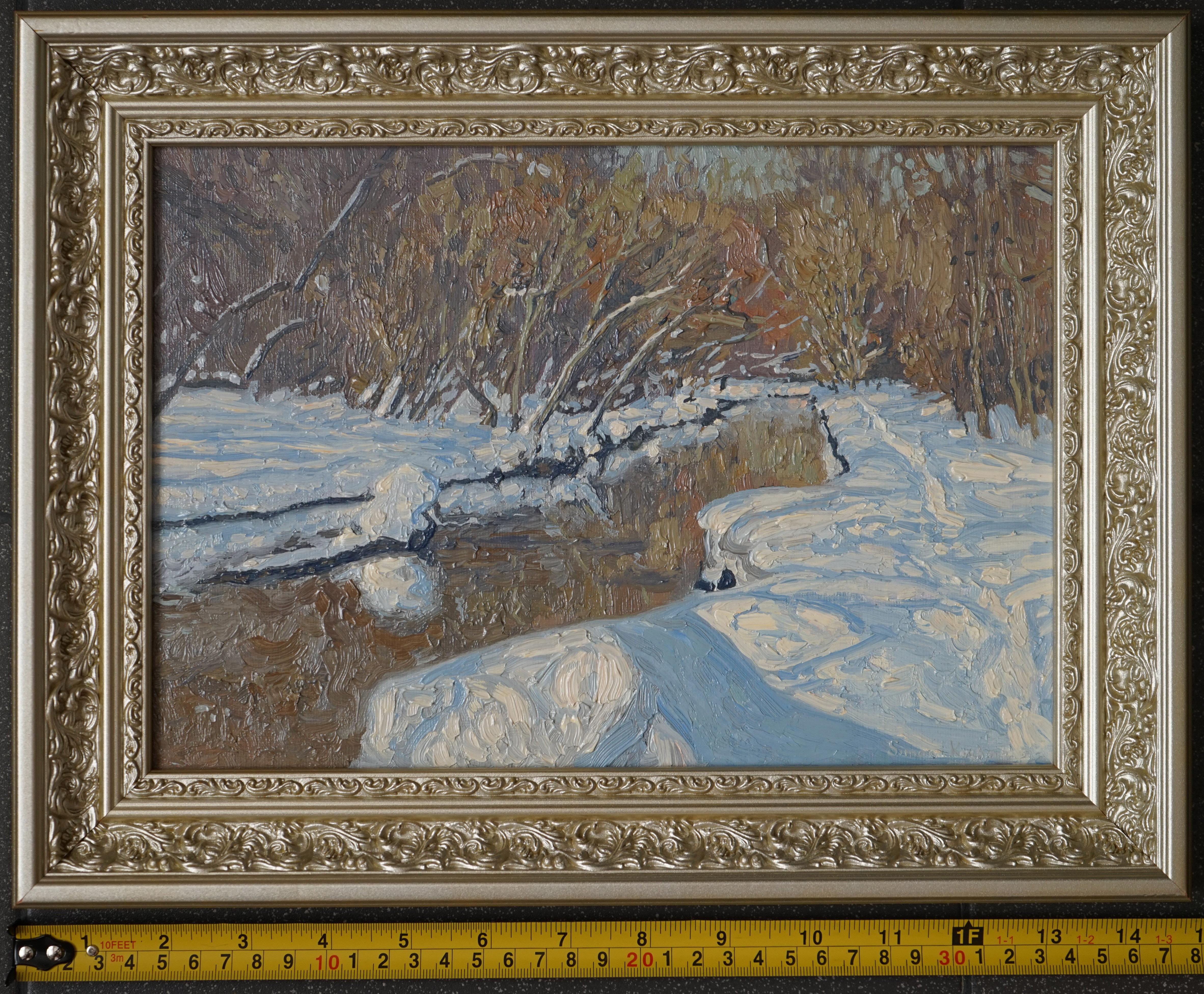 Sole di febbraio. Fiume Churilikha, paesaggio invernale di Simon Kozhin in vendita 15