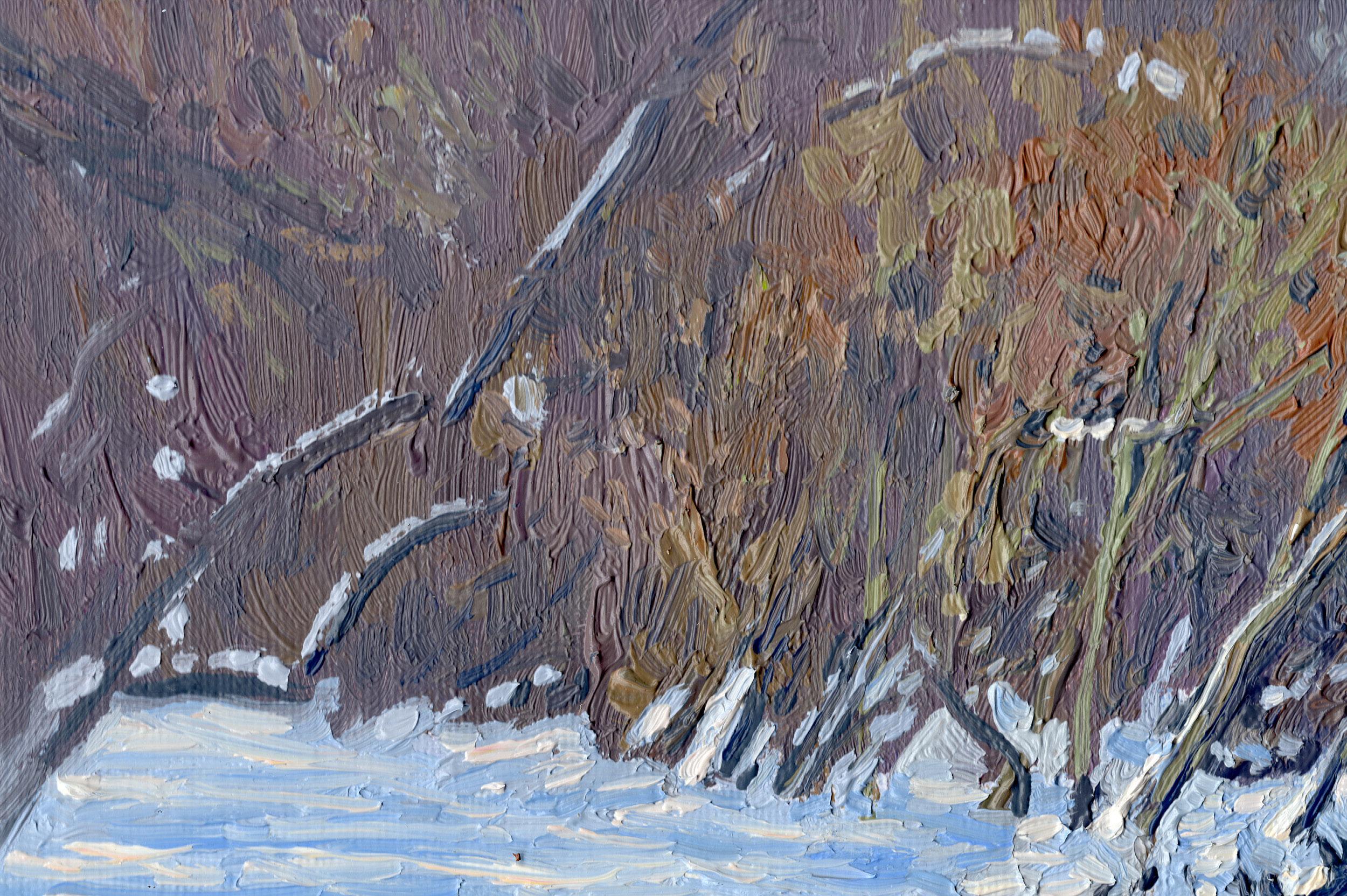 Sole di febbraio. Fiume Churilikha, paesaggio invernale di Simon Kozhin in vendita 2