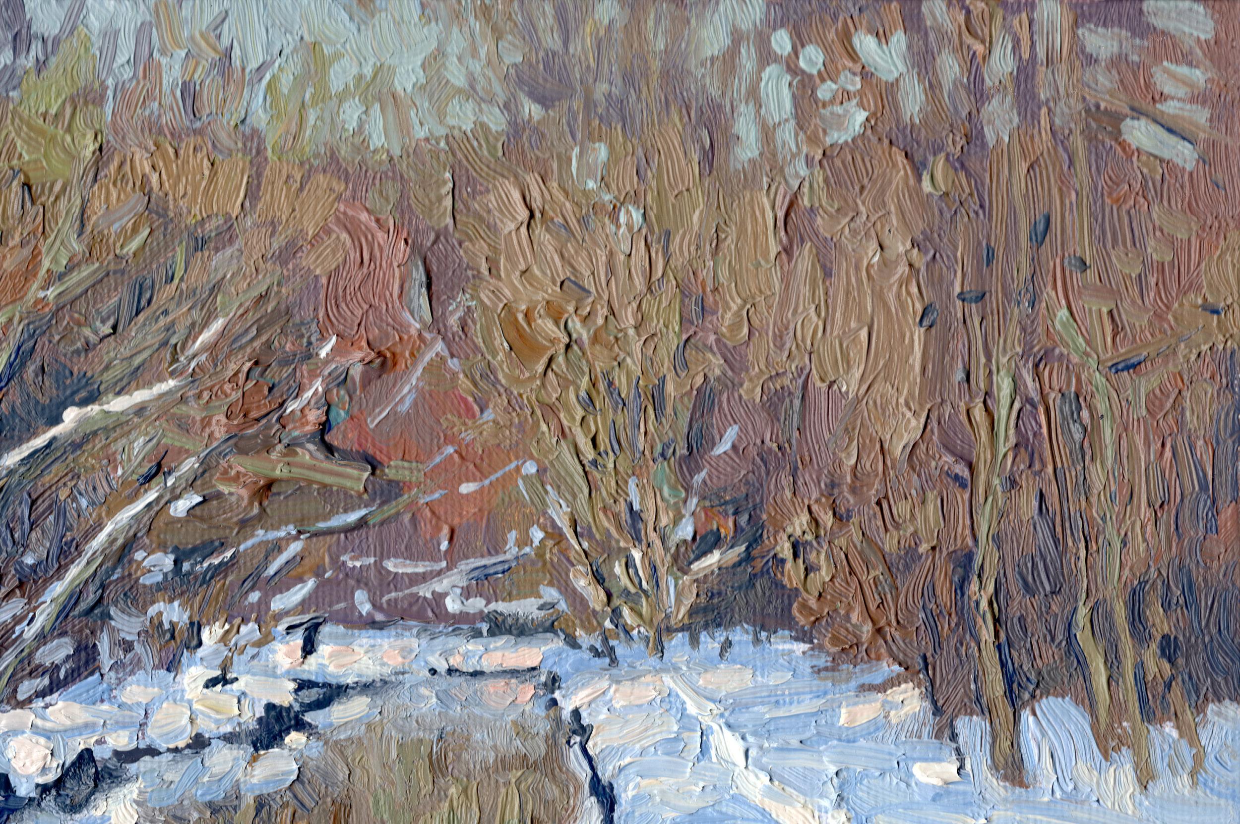 Sole di febbraio. Fiume Churilikha, paesaggio invernale di Simon Kozhin in vendita 3